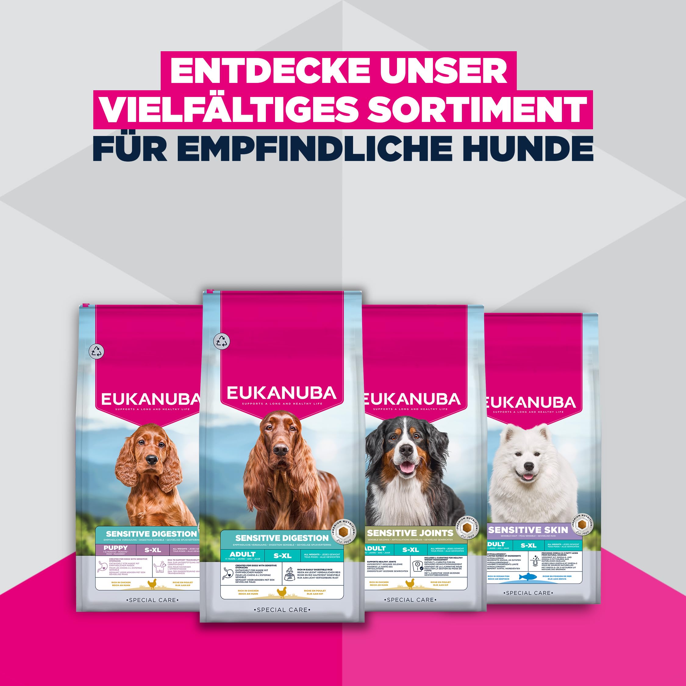 Eukanuba Sensitive Skin Hundefutter mit Seefisch - Hypoallergenes Special Care Trockenfutter für Hunde mit sensibler Haut, 12 kg