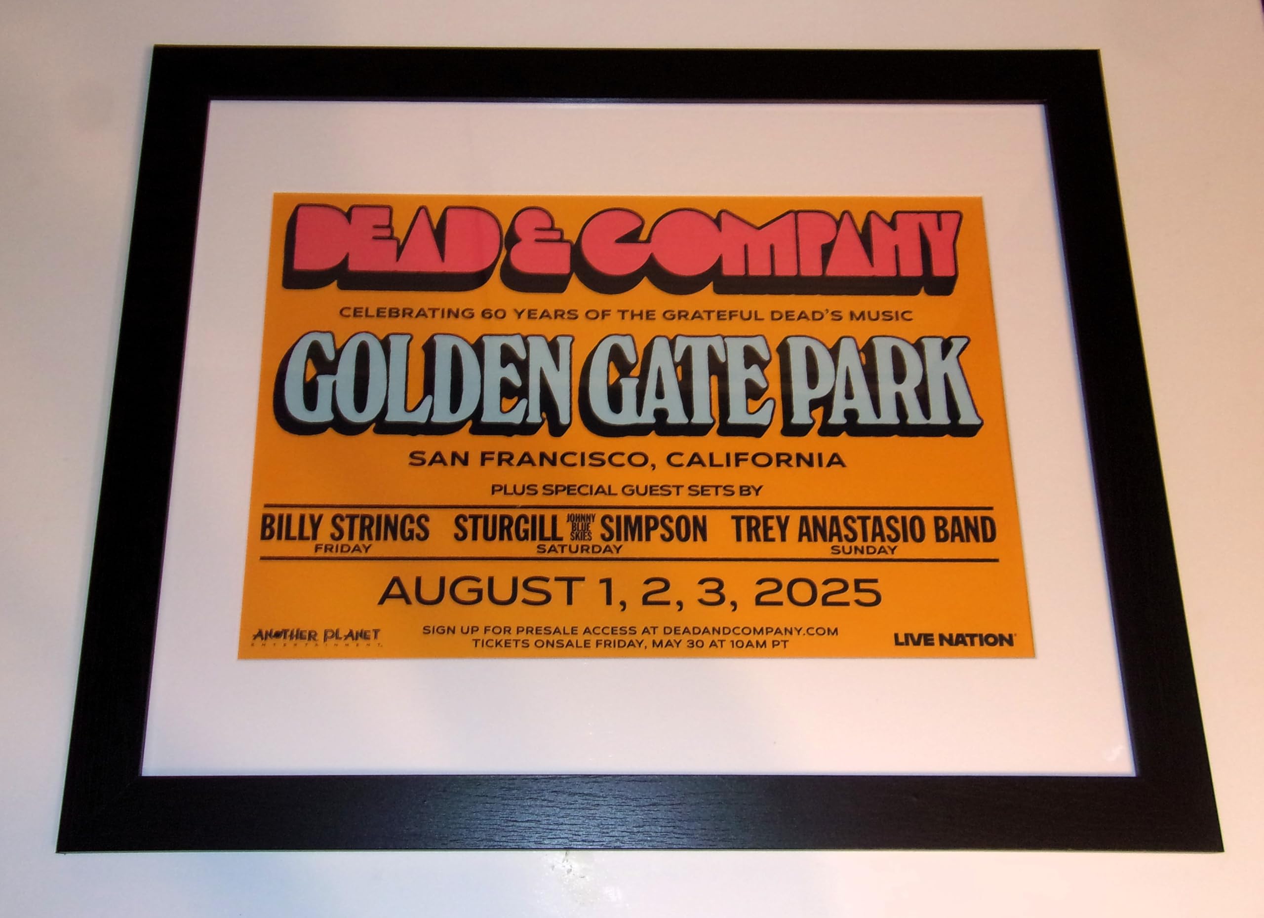 Amazon.com: FRAMED Grateful Dead 2025 San Francisco (Golden Gate