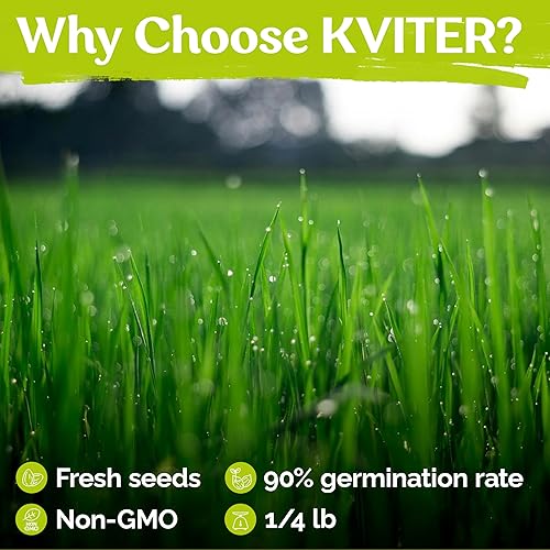 Miniatura 6 de KVITER Semillas de césped Zenith Zoysia de 18 libras (Zoysia Japonica)  Semillas Zenith Zoysia para césped, Zoysiagrass  Densa, sombra de semillas