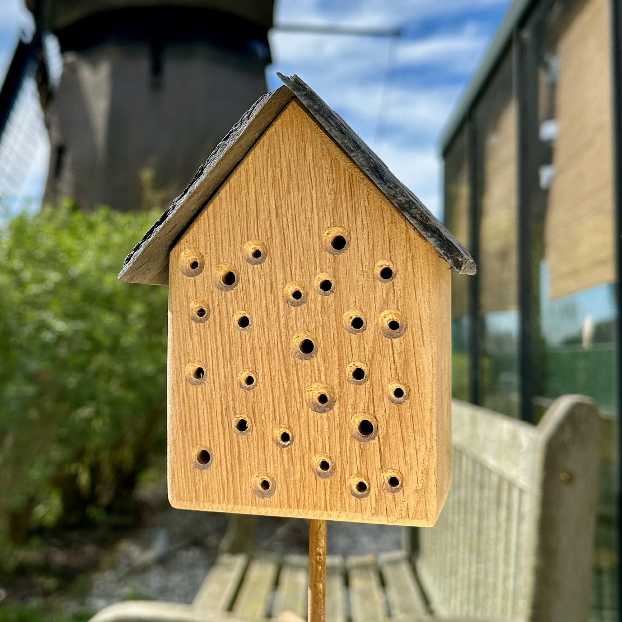 GARTENETAGE Geschenkset Bienenoase – Wildbienenhotel aus Eichenholz mit Schieferdach & Blumenwiese Mischung – Perfekt für Garten & Balkon – Nachhaltige Nisthilfe für Bienen & Bestäuber