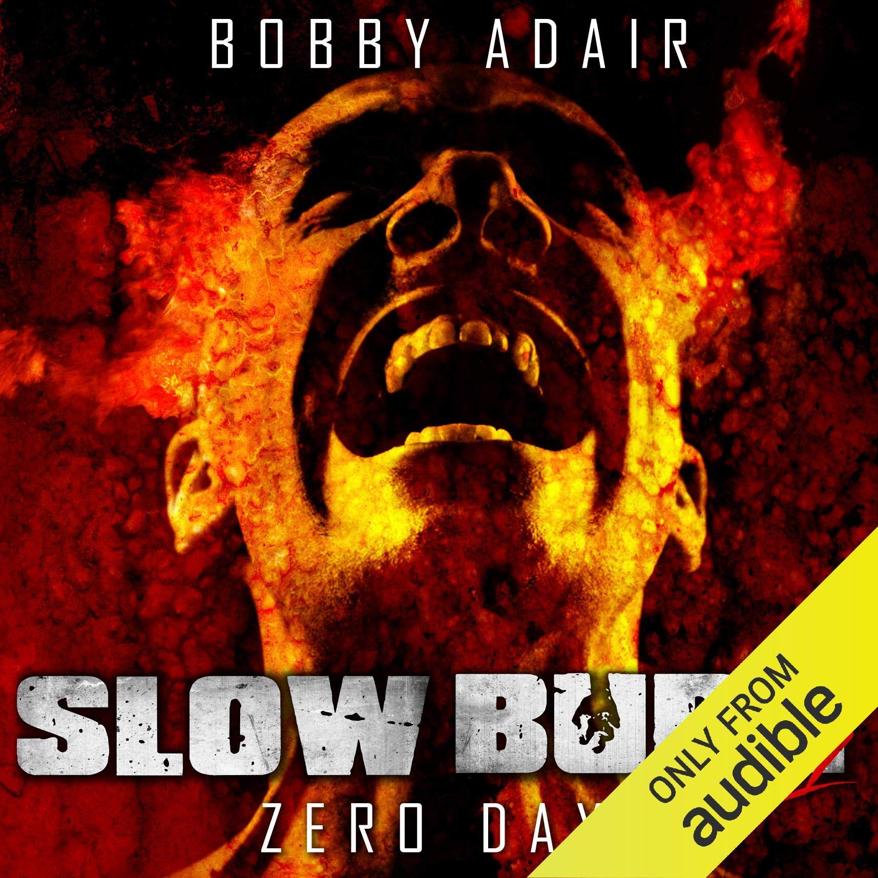 Cover art for Slow Burn: Zero Day - A Zombie Story