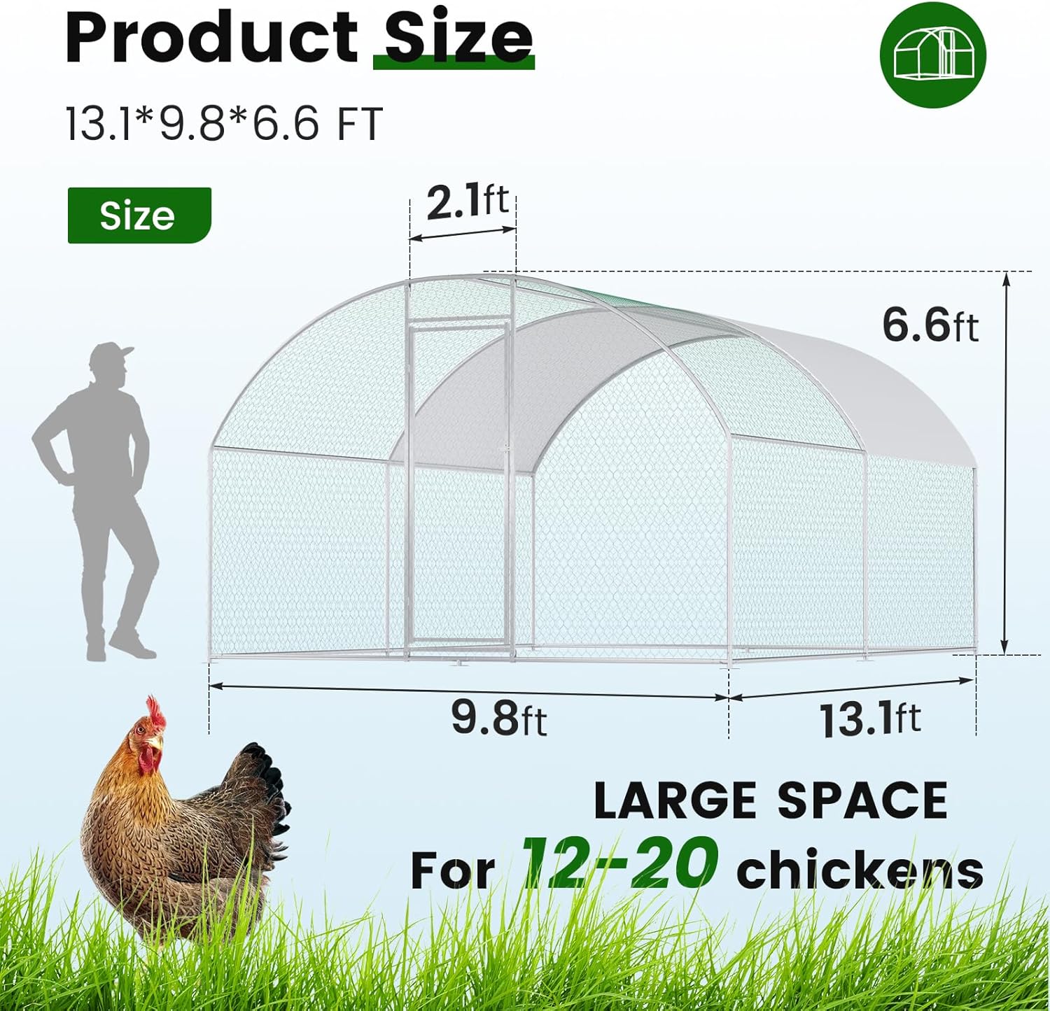Diagram showing the dimensions of the chicken coop: 13.1 feet long, 9.8 feet wide, and 6.6 feet high, with a capacity for 12-20 chickens.