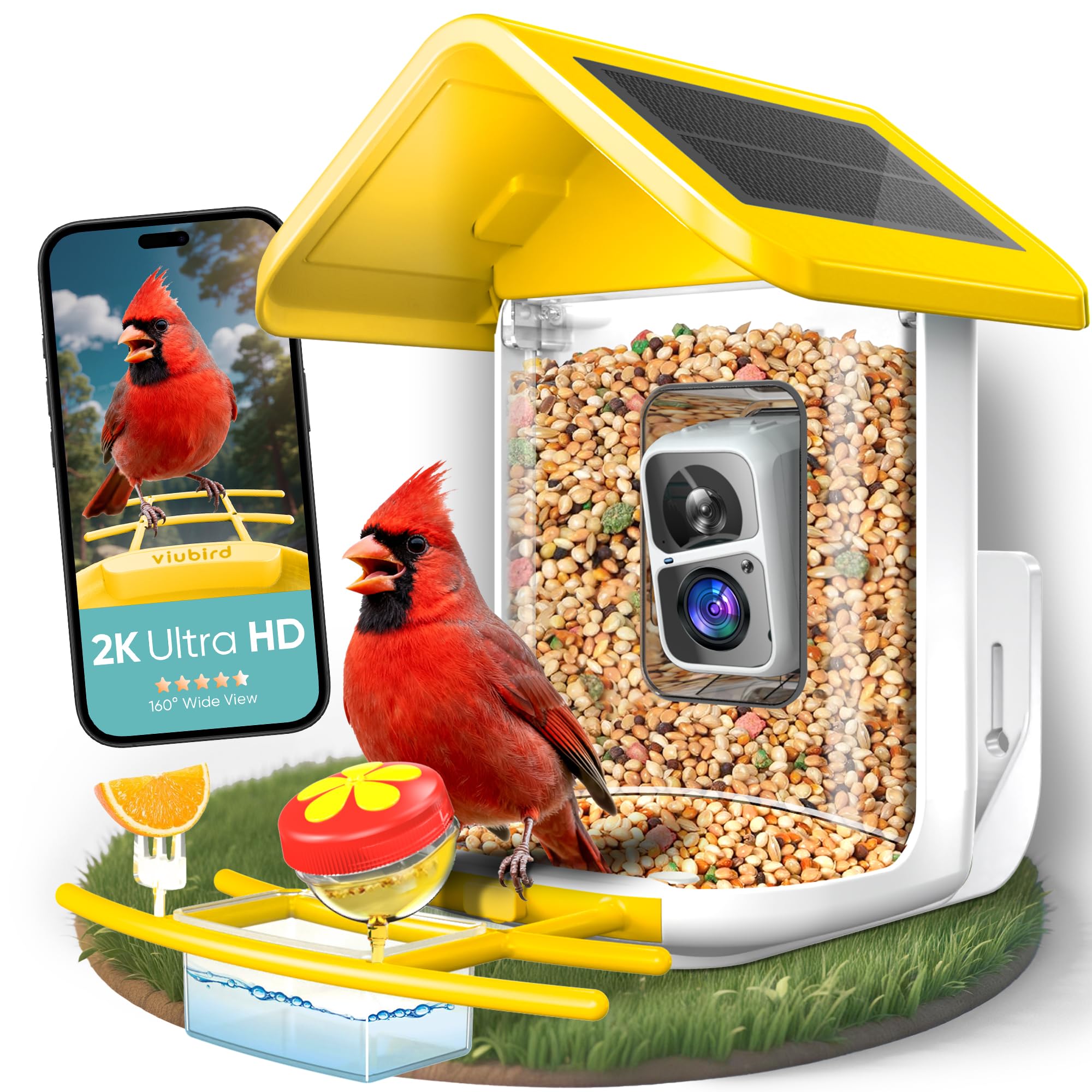 Comedero inteligente para pájaros con cámara, WiFi de 2.4 GHz AI para identificar especies y video en vivo, aplicación para patio trasero, regalo para comedero de pájaros de Navidad