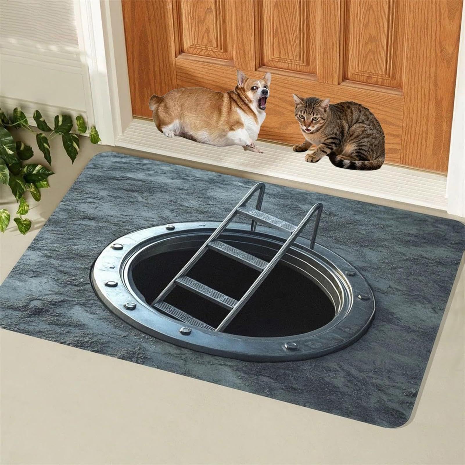 Generisch Tapis illusion antidérapant pièges paillasson
