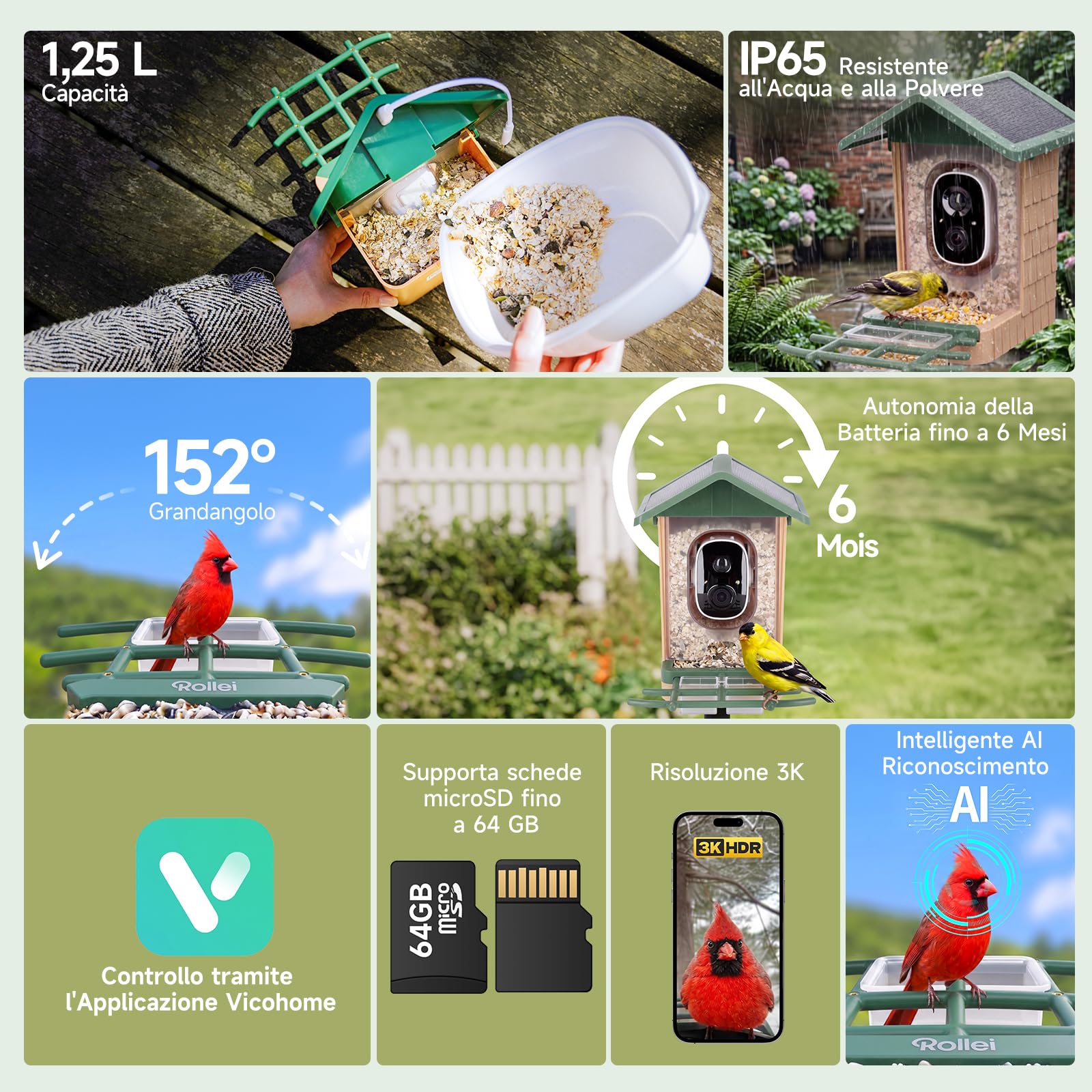 Rollei Mangiatoia per Uccelli Intelligente con Telecamera 3K Smart Bird Feeder da Esterno con Pannello Solare AI Identificazione di 10000 Uccelli Visione Notturna a Colori Notifica Istantanea IP65