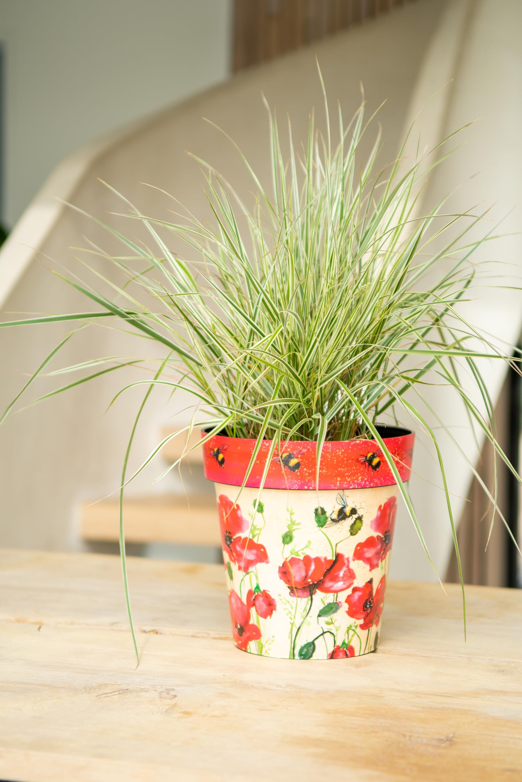 Creekwood Lightweight Planter, Poppies & Bees, 22cm