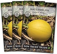 Sow Right Seeds Golden Midget Watermelon Seeds - Non-GMO Heirloom, Golden Rind Salmon Flesh, 70-Day Compact Variety for Home Gardens
