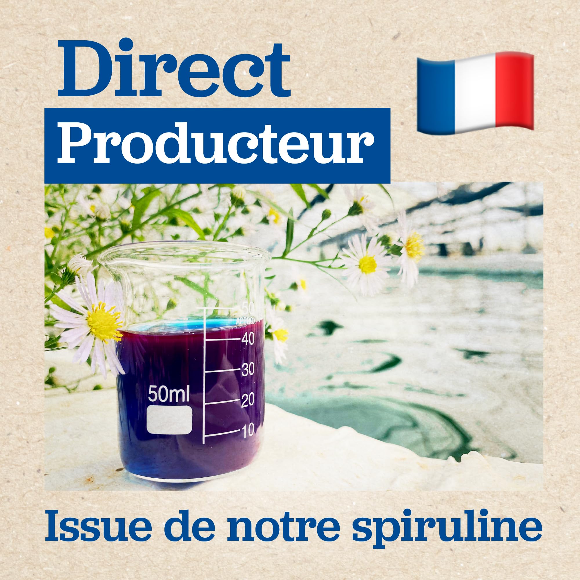 Phycocyanine Bio Française - Immunité & Récupération - 20 Ampoules 5 000 mg/l - Spiruline Paysanne Provence - Solis Culturae