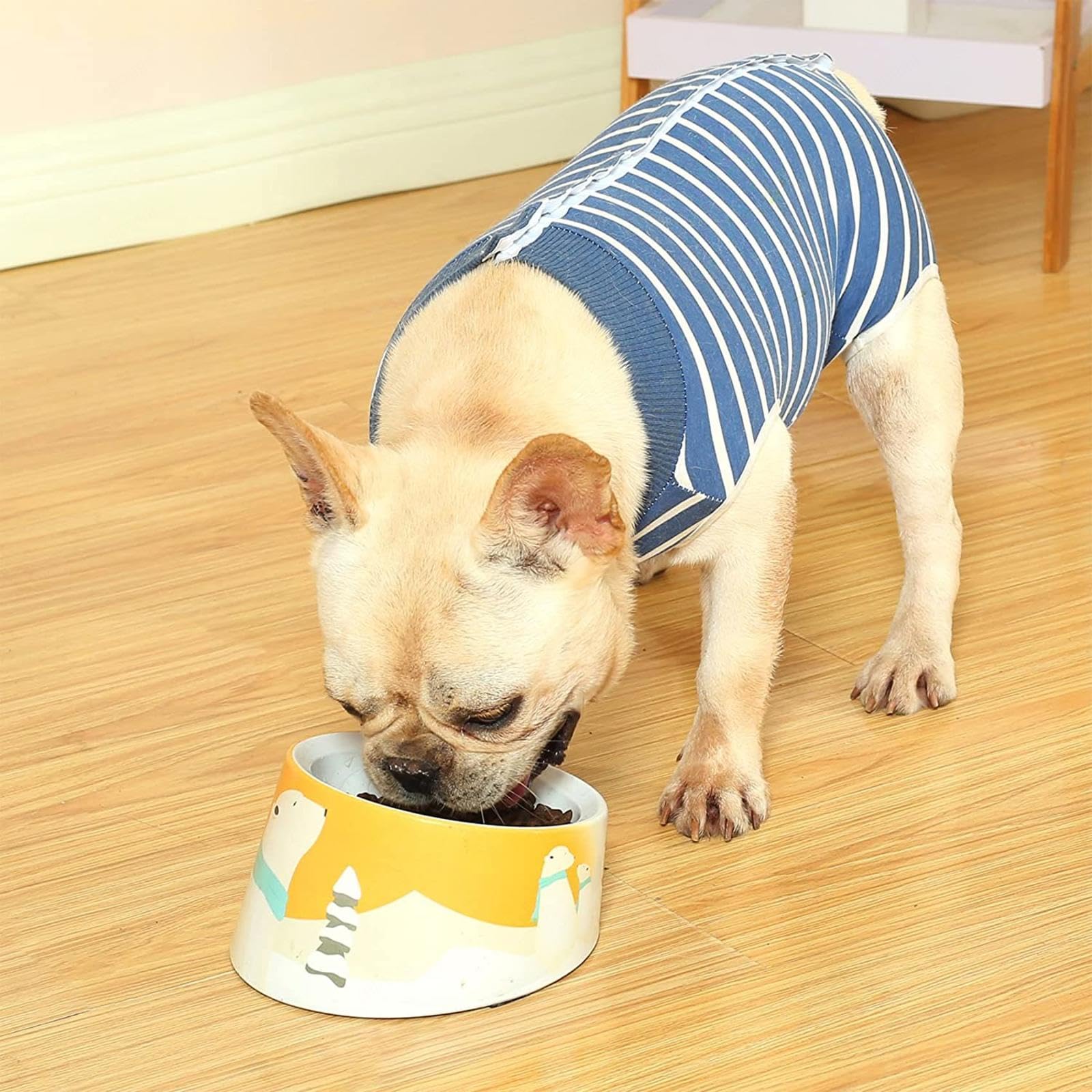 FAXIOAWA Tuta da Recupero per sterilizzazione per Cani Femmina - Tutine per Cani da leccare Tuta Anti leccata per Cani per incontinenza Leggera - Tuta da Recupero per Donna -Vu01,Bluestripe-XXXL