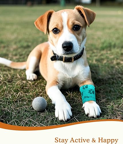 Miniatura 3 de Envoltura adhesiva para veterinarios de 2 pulgadas, vendaje para mascotas, para heridas, tobillos y esguinces en las articulaciones, cinta