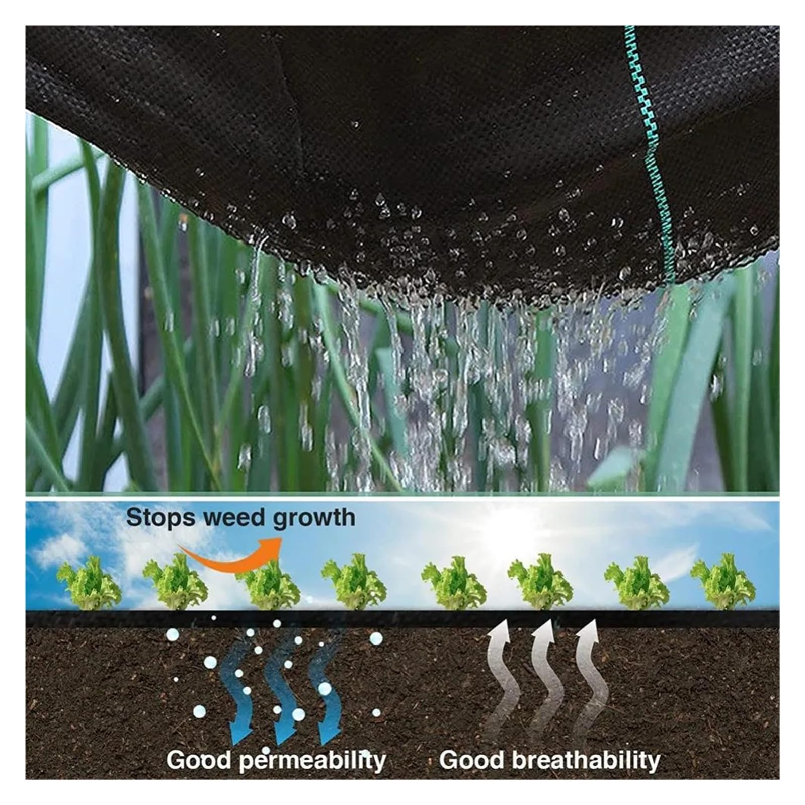 Generico Telo Anti-Erbe PP Tessuto Traspirante Copertura Suolo Giardino | Blocca le erbacce indesiderate consentendo all'acqua e al nutrimento di raggiungere le radici delle piante(1X15m)