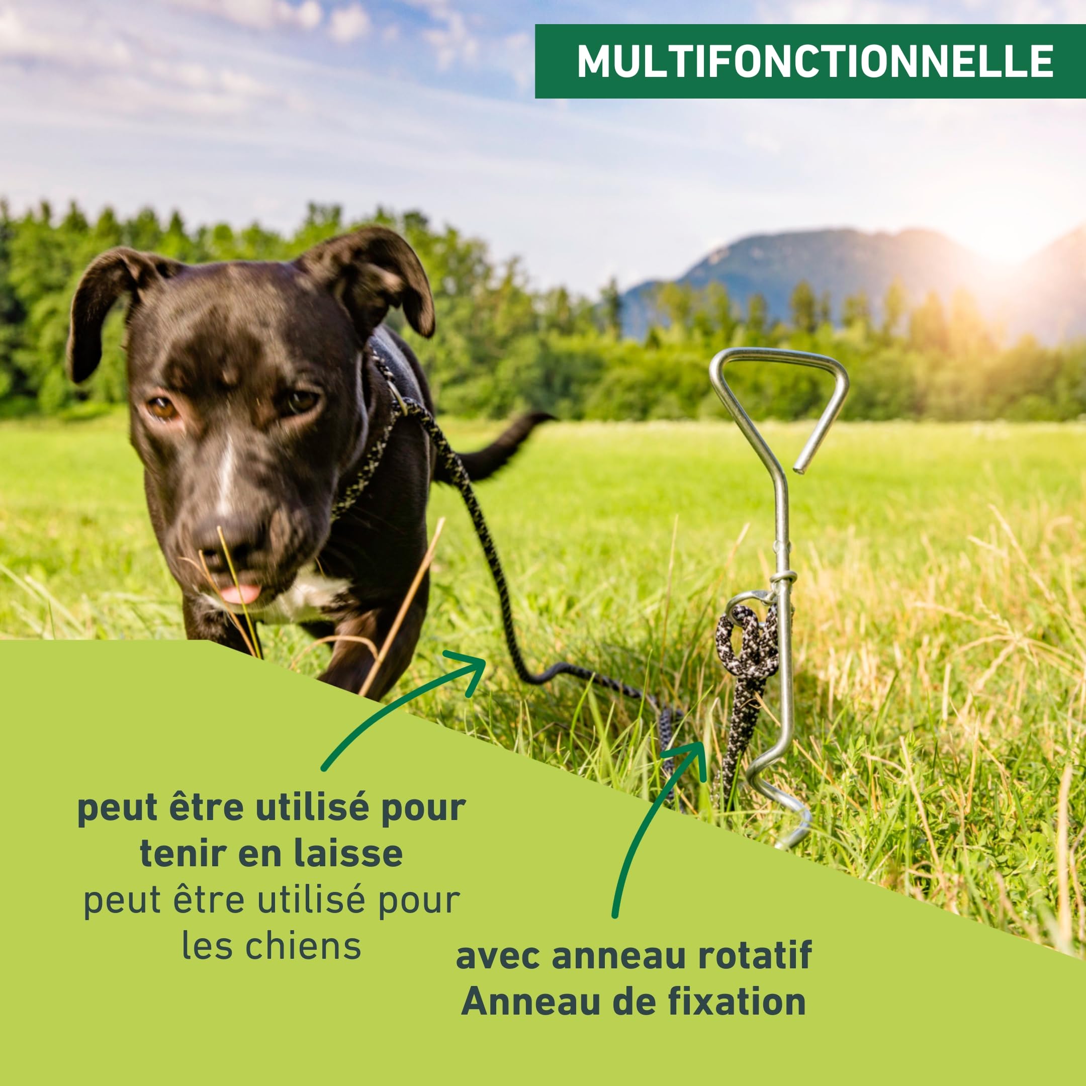 Windhager Piquet d'ancrage au sol en spirale - Piquet pour laisse de chien - Piquet de pose pour chien - Spirale pour le jardin - 41 cm x 8 mm - 07134