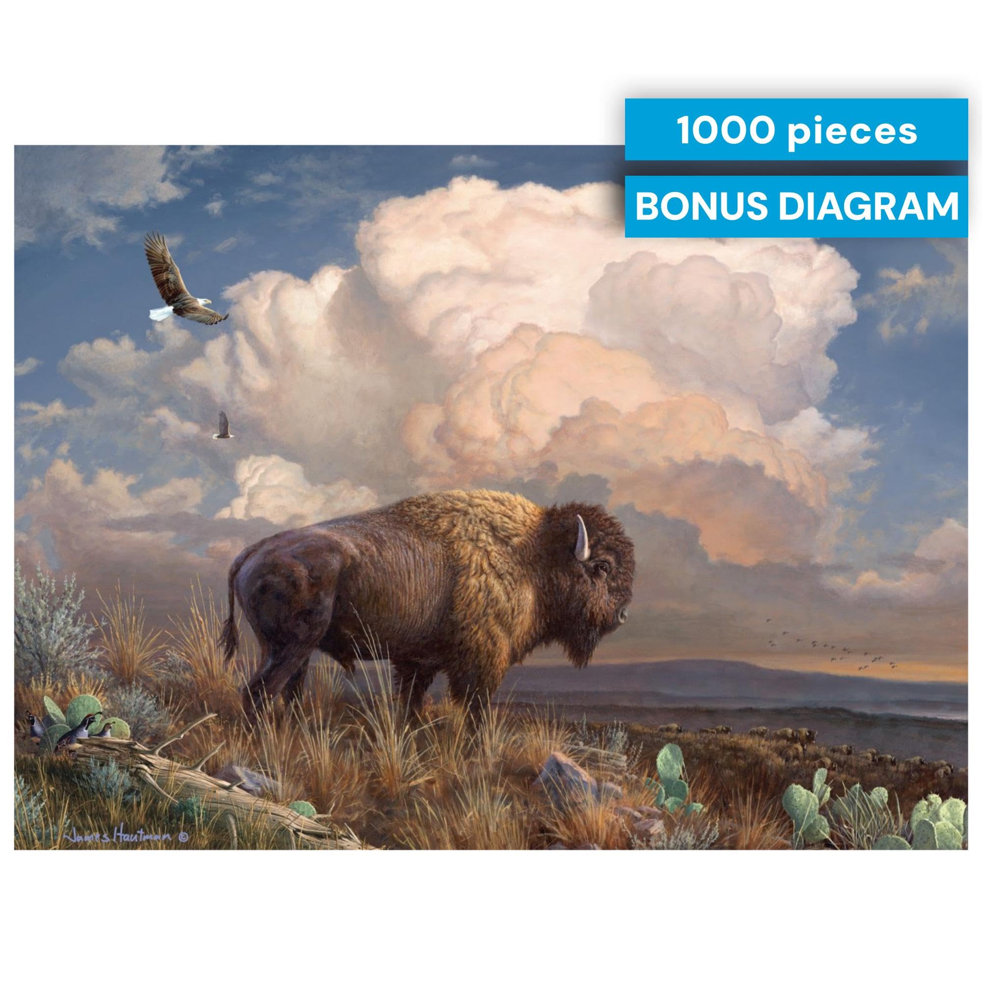 Buffalo Games Puzzle 1000 Pezzi – Memory Lane – Hautman Brothers – Dimensioni 67,9x50,2 Cm – Poster Incluso