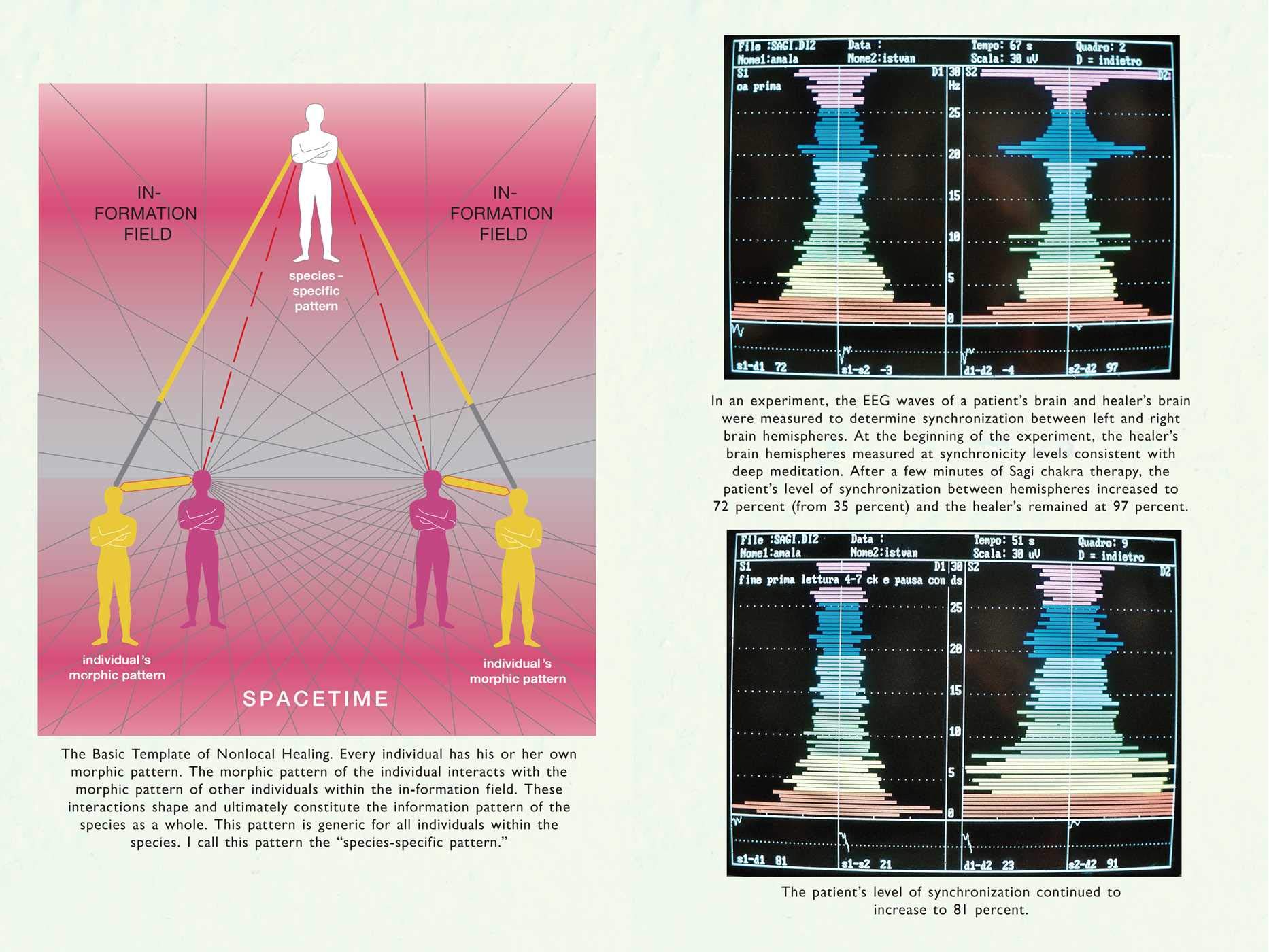 Remote Healing: Nonlocal Information Medicine and the Akashic Field