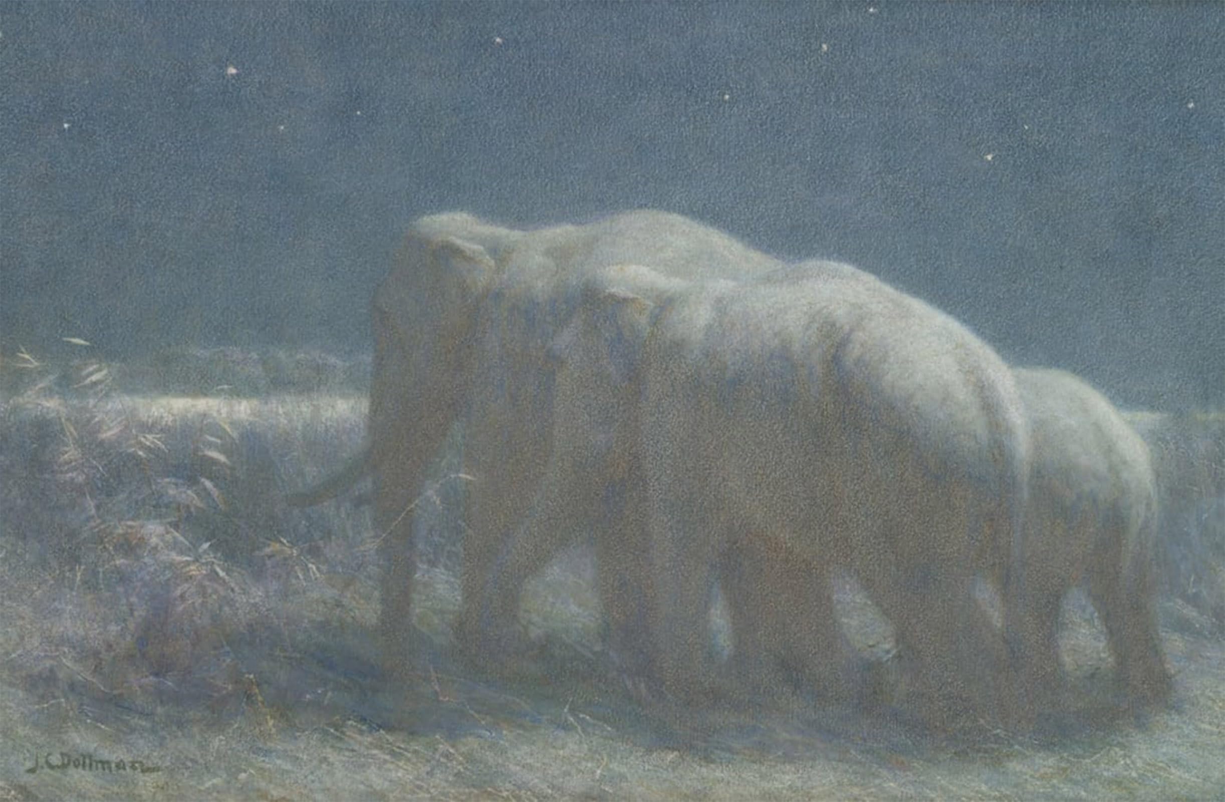 SERENDIPITP Abstract Painting Mural Print Picture Wall Decor Painting Night by Charles Dollman Vintage Wall Artwork for Home Decor 60x90cm