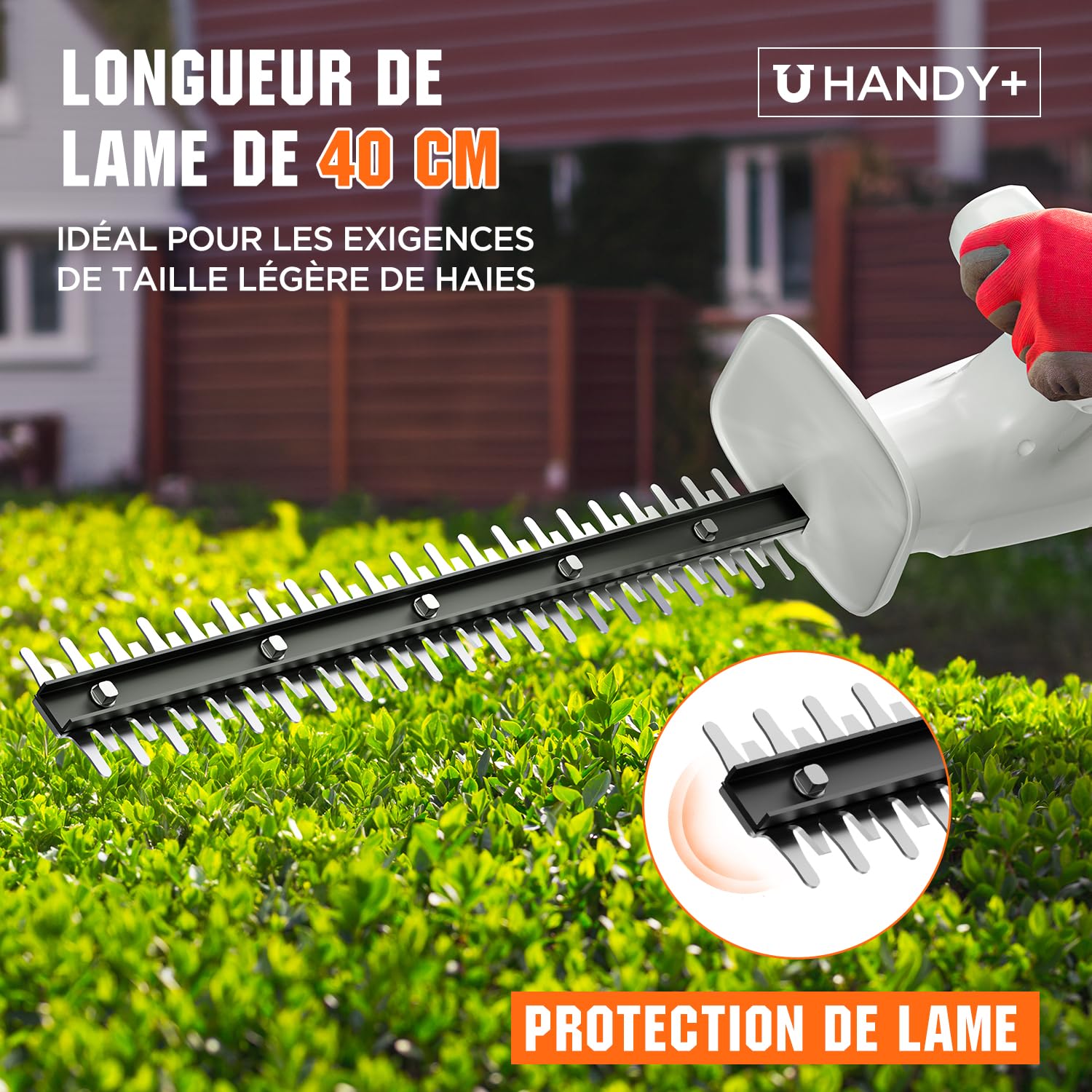 Litheli 20V Taille-haie à Batterie, avec Batterie 2,0 Ah. Poignée Ergonomique, Lame de 45 cm pour Les travaux de Taille légers, Poids léger de 2,3 kg.
