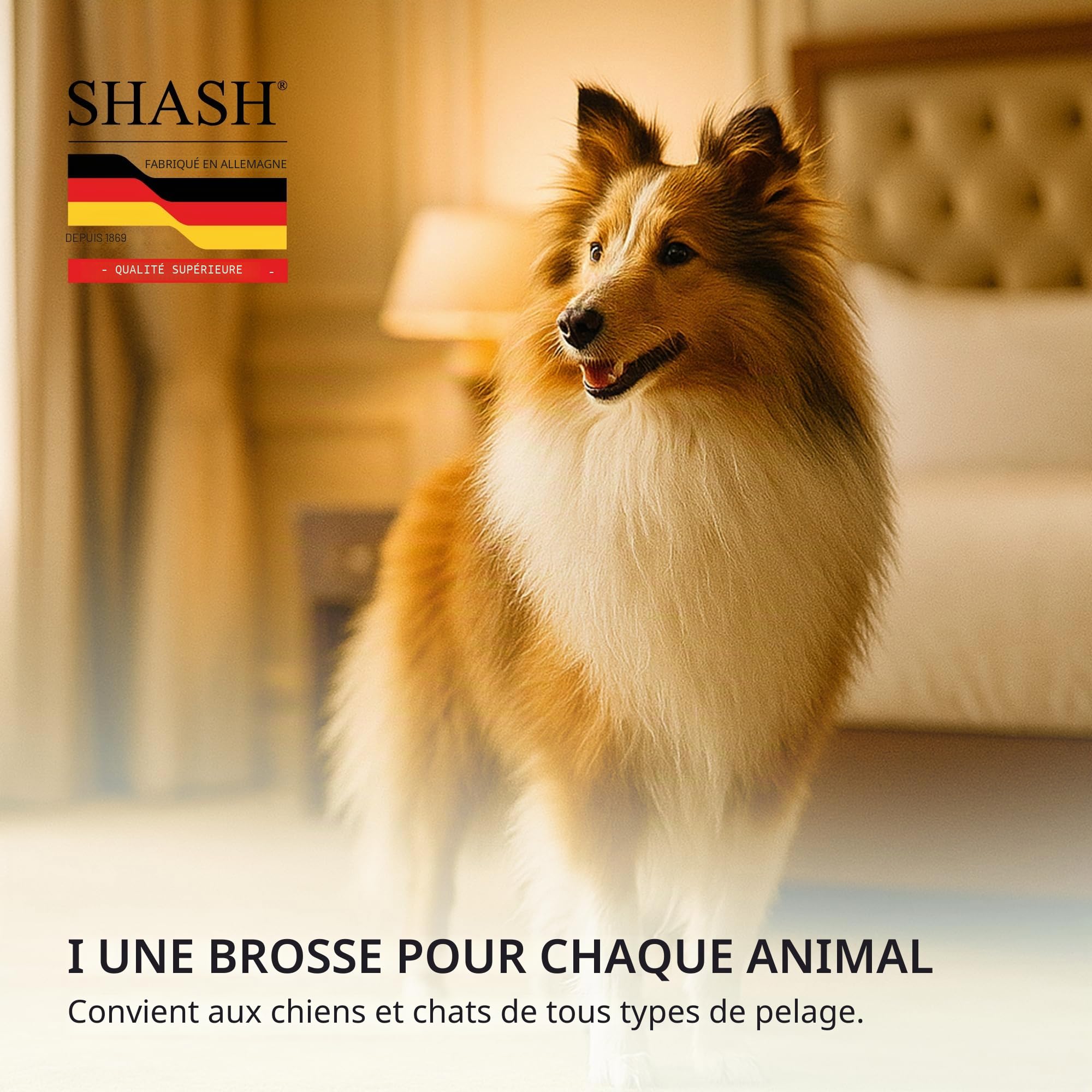 Brosse ovale pour animal domestique avec longues épingles