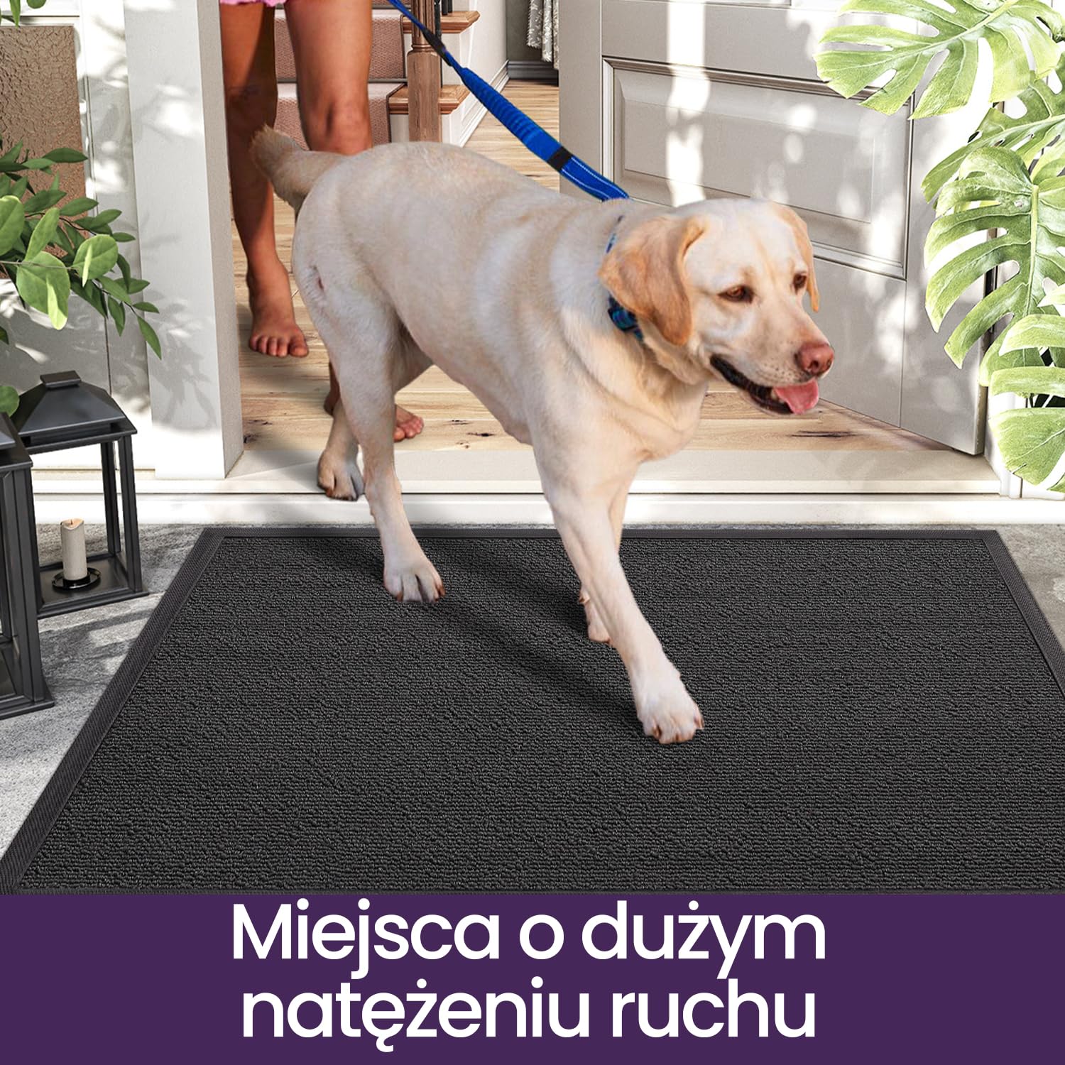 DEXI Wycieraczka do drzwi 60 x 90 cm, antypoślizgowa, odporna na plamy i blaknięcie, niski profil, łatwe do czyszczenia, dywanik wejściowy do użytku na zewnątrz i wewnątrz, jednolity szary
