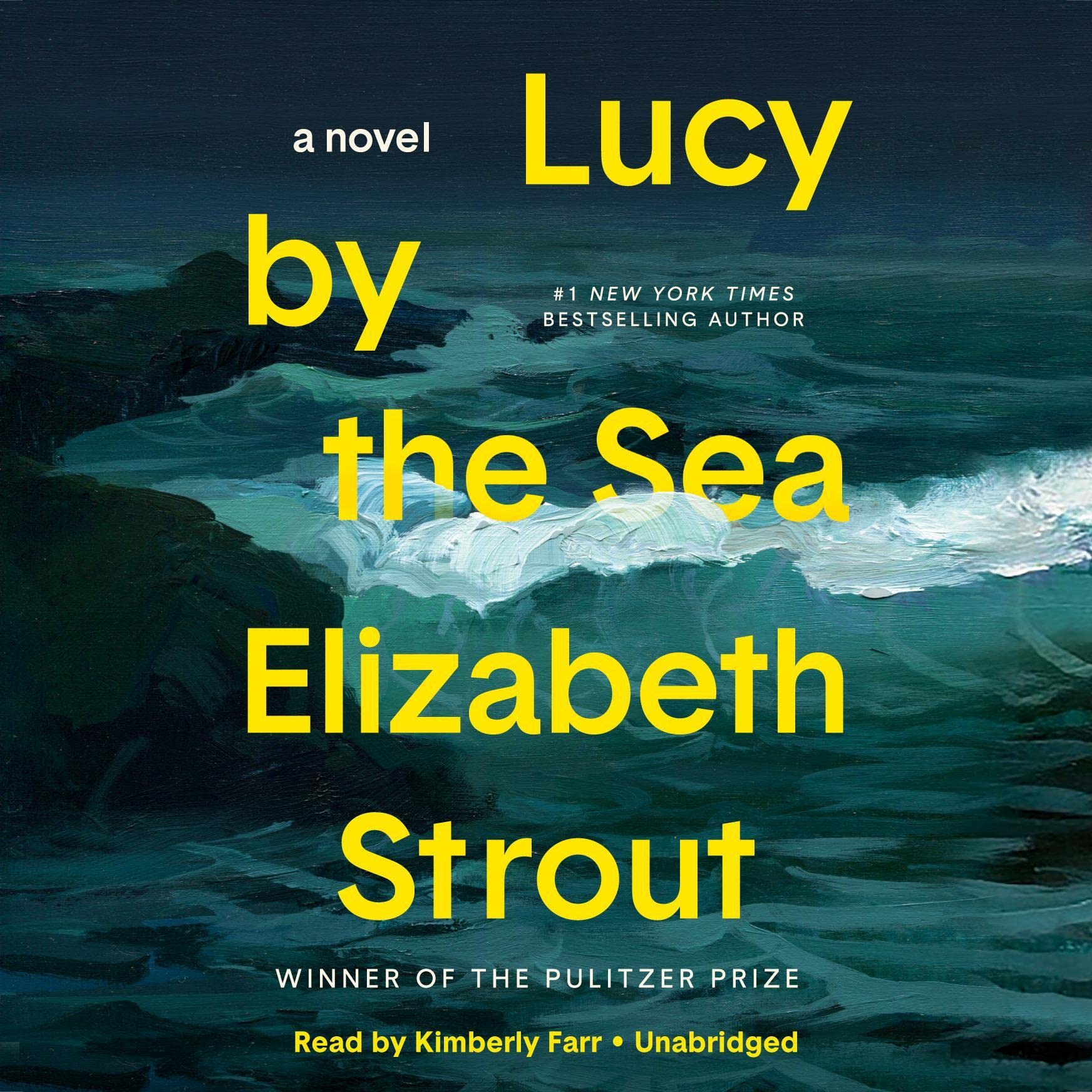 Cover art for Lucy by the Sea