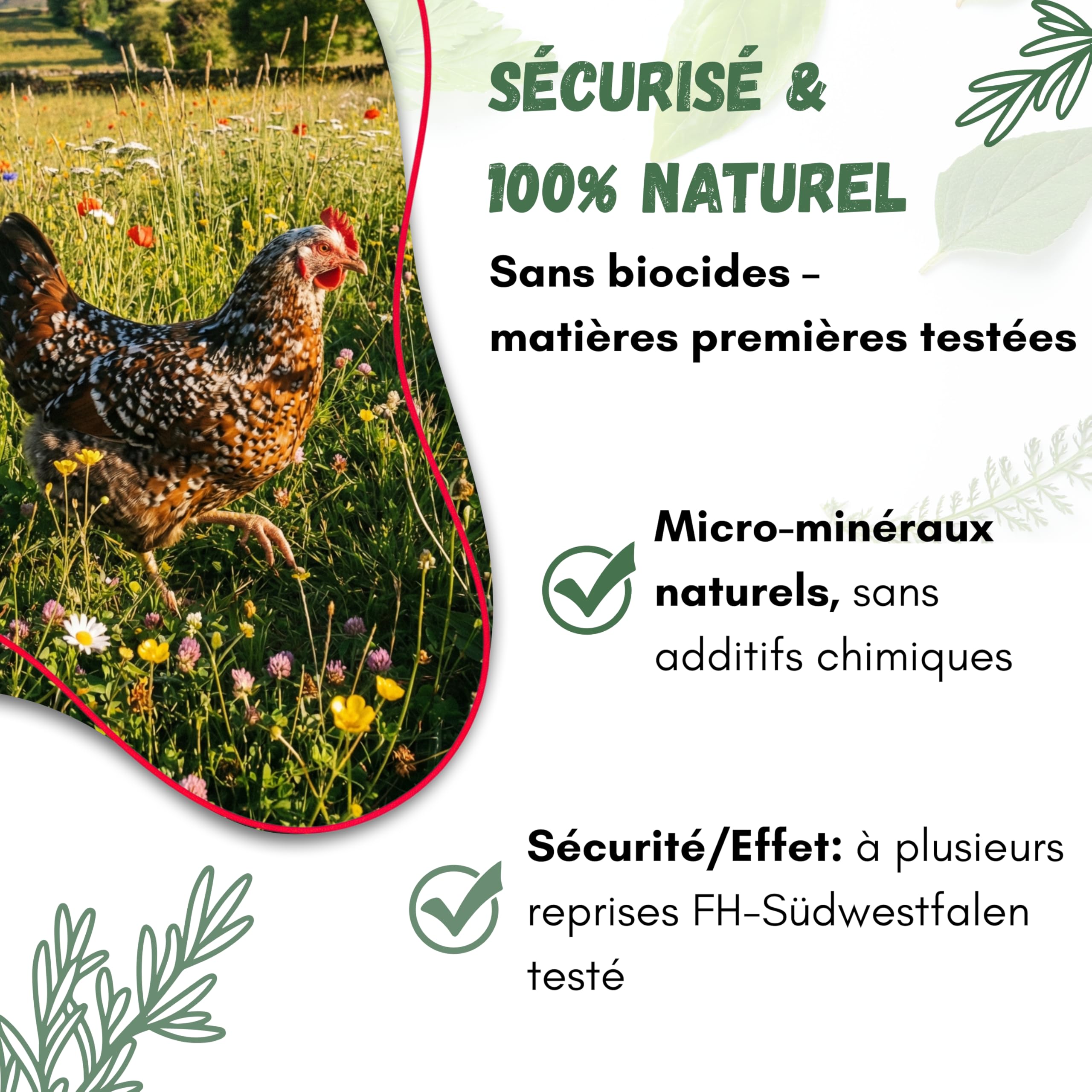 Mite Lot de 3 bains de poussière pour poules, 25 kg, poudre de bain de sable contre les acariens, anti-acariens, protection naturelle contre les acariens, poudre