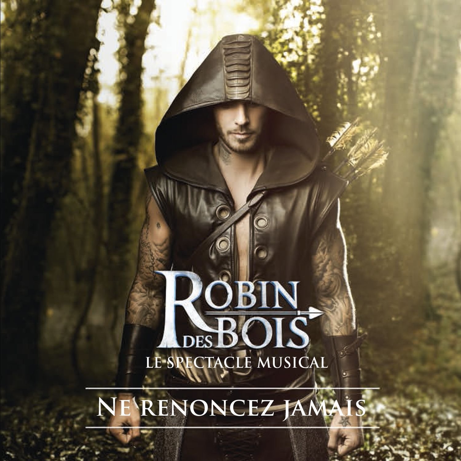 その他 Robin Des Bois - Spectacle Musical (DVD+CD) d2ldlup Le Spectacle Musical : Robin des Bois, Multi-Artistes: Amazon.fr