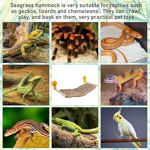 VCEPJH Bearded Dragon Hammock, Reptile Window Perch Natural Seagrass Gecko Climbing Tank Accessories Lizard Lounger Bed with Powerful Suction Cups Bearded Dragon Toys for Basking (11.81 * 7.08)(L:19.68*7.87 in)