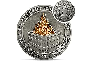 Delicate Dumpster Fire Coin: The Fire-tastic Desk Accessory