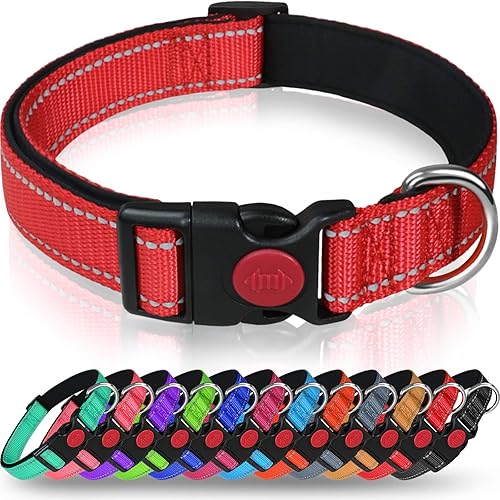 Taglory Reflective Dog Collar with Safety Locking Buckle, Adjustable Nylon Pet Collars for Small Dogs Female Male, S, Red