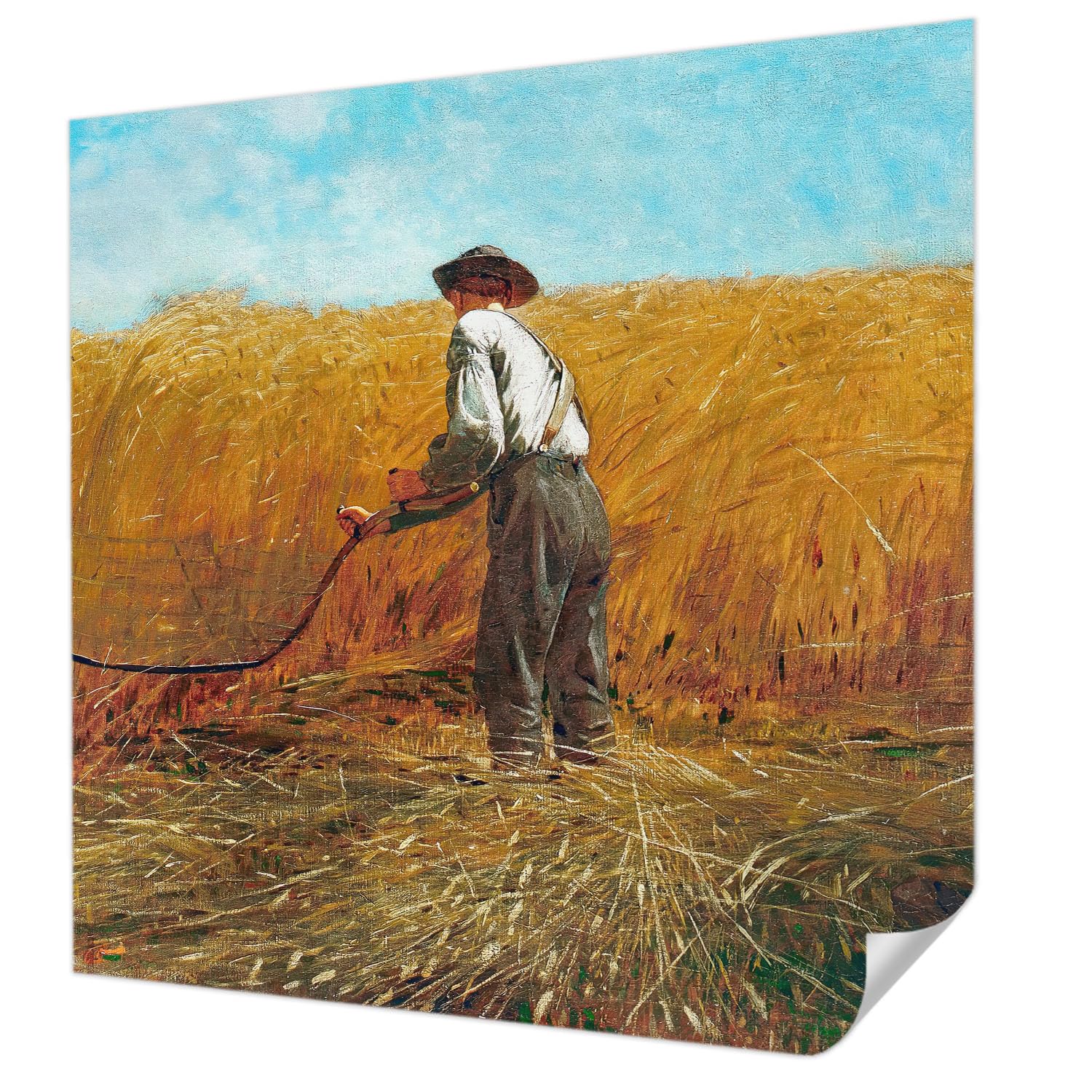 Papier peint autocollant résistant aux taches Tulup 250x250 cm lavable pour cuisine et salon