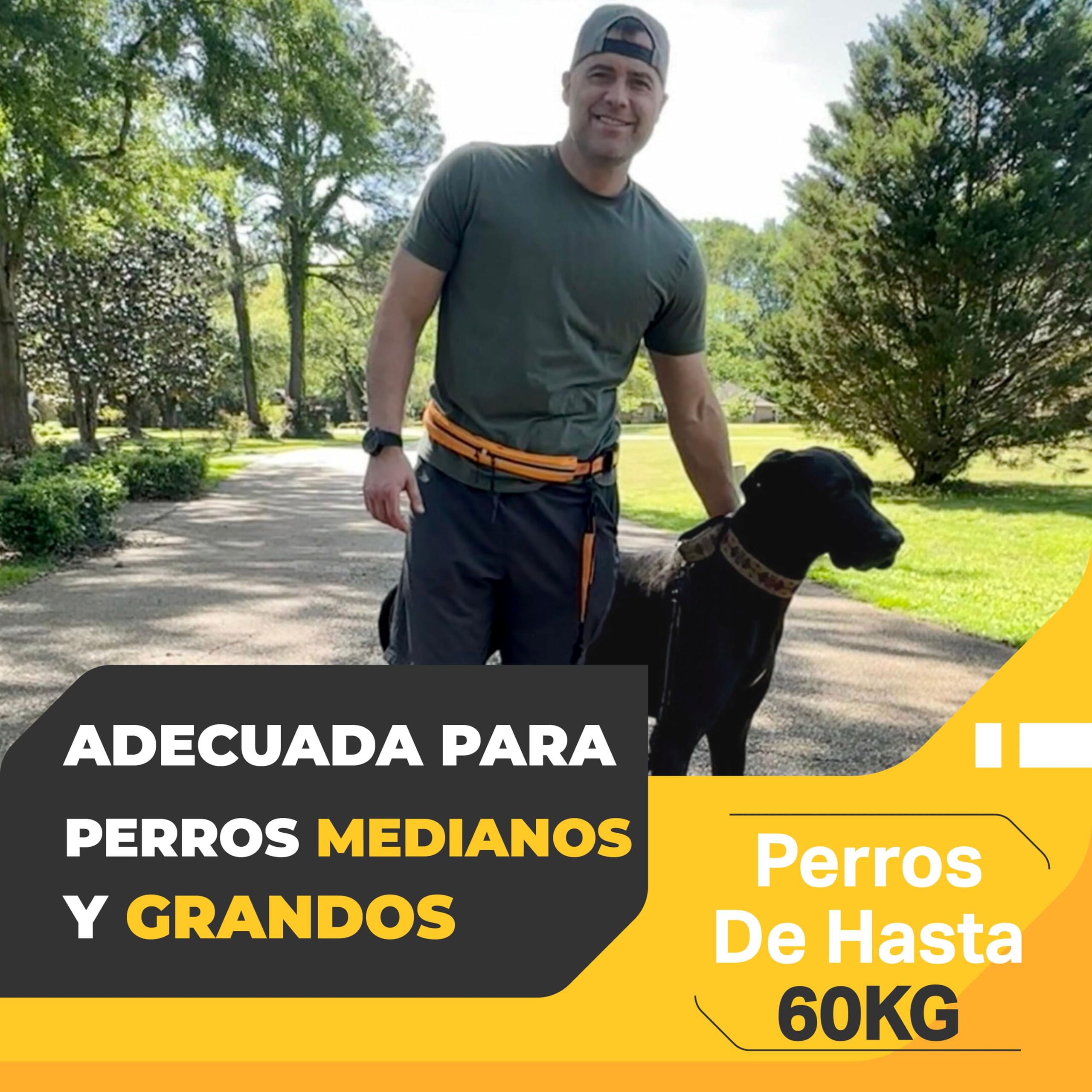 Correa Perro Cintura - Correa Manos Libres Perro - Cinturon Canicross con Correa Canicross - Correa Perro Correr