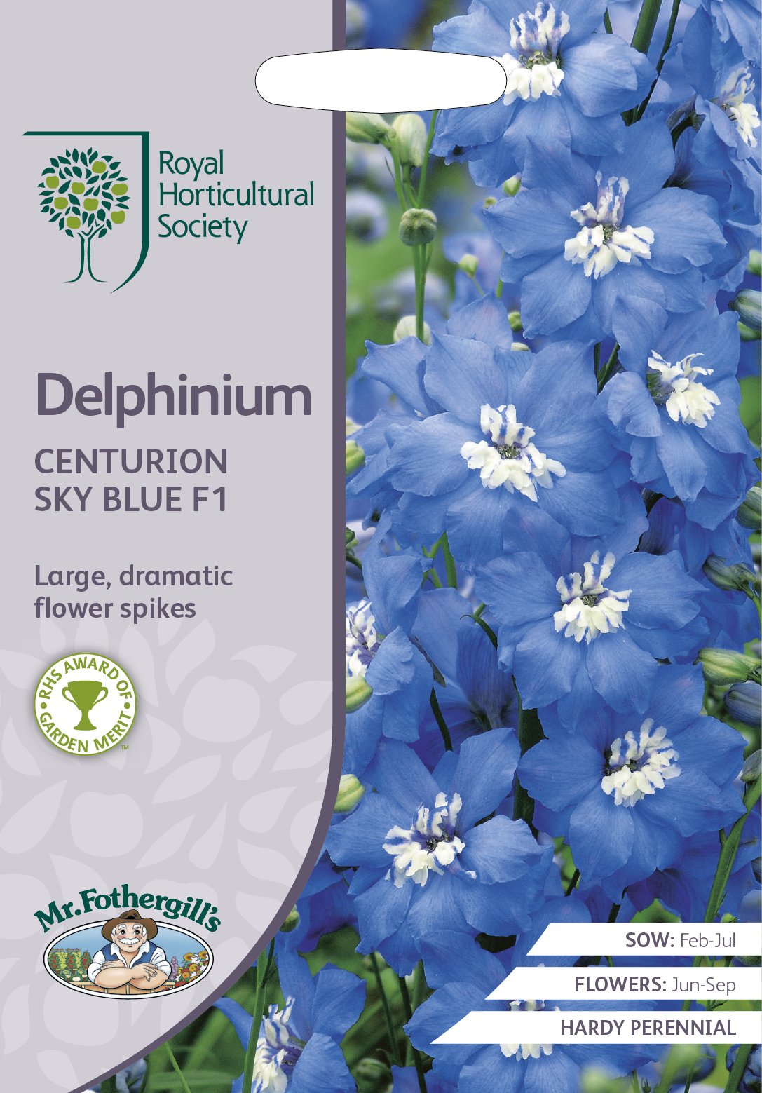 Mr Fothergill’s - RHS Delphinium Centurion Sky Blue/White F1, 17502