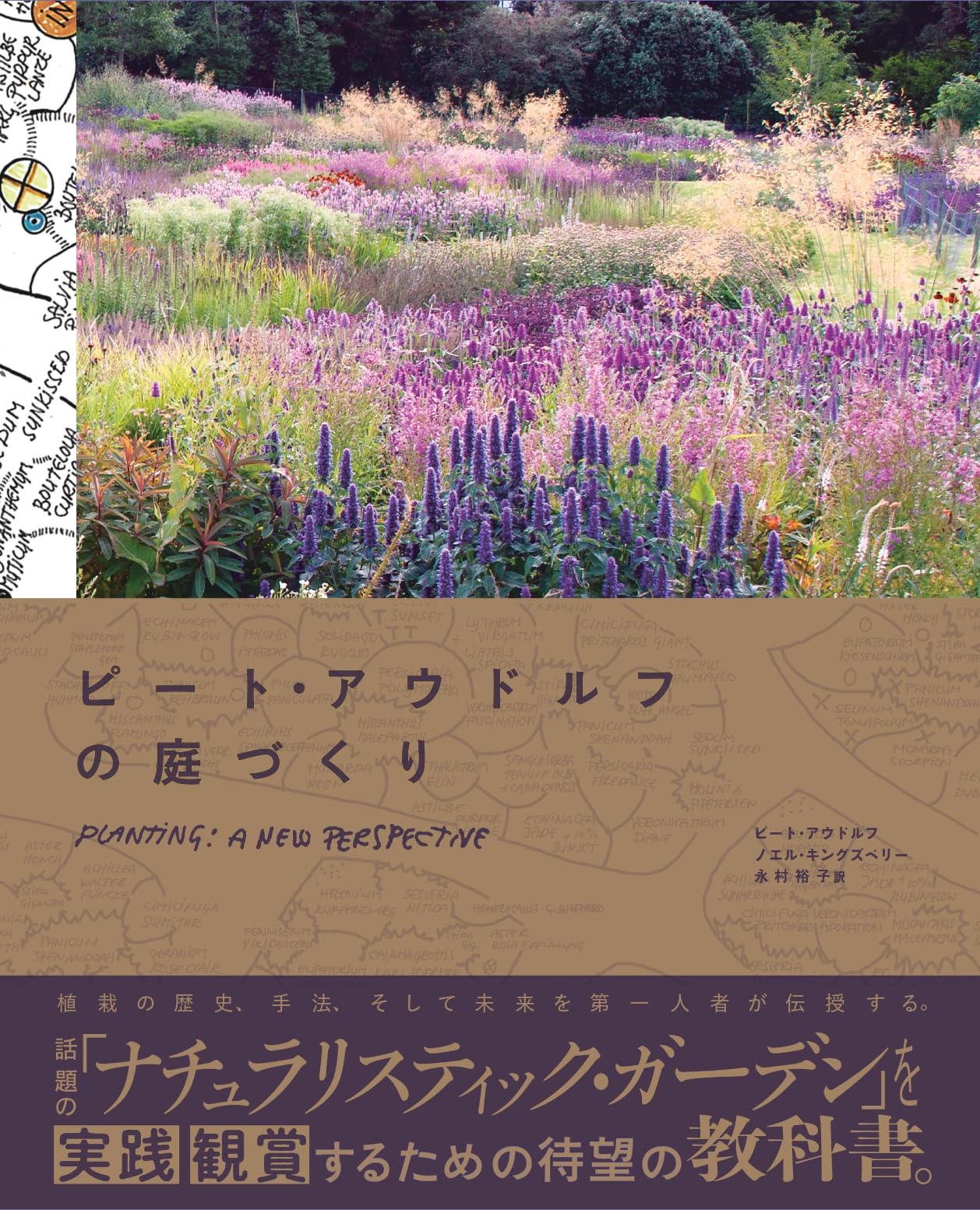 Oudolf Hummelo（ピート・アウドルフ著）ガーデニング 洋書 81W-dACAh9L.jpg