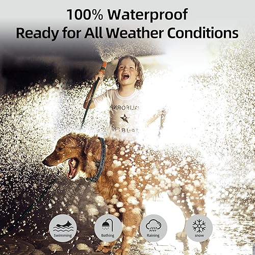 Miniatura 6 de Dog Bark Collar for Large Medium Small Dogs, Rechargeable Smart Bark Collar, Anti Barking Training Collar with 5 Adjustable Sensitivity Beep Black