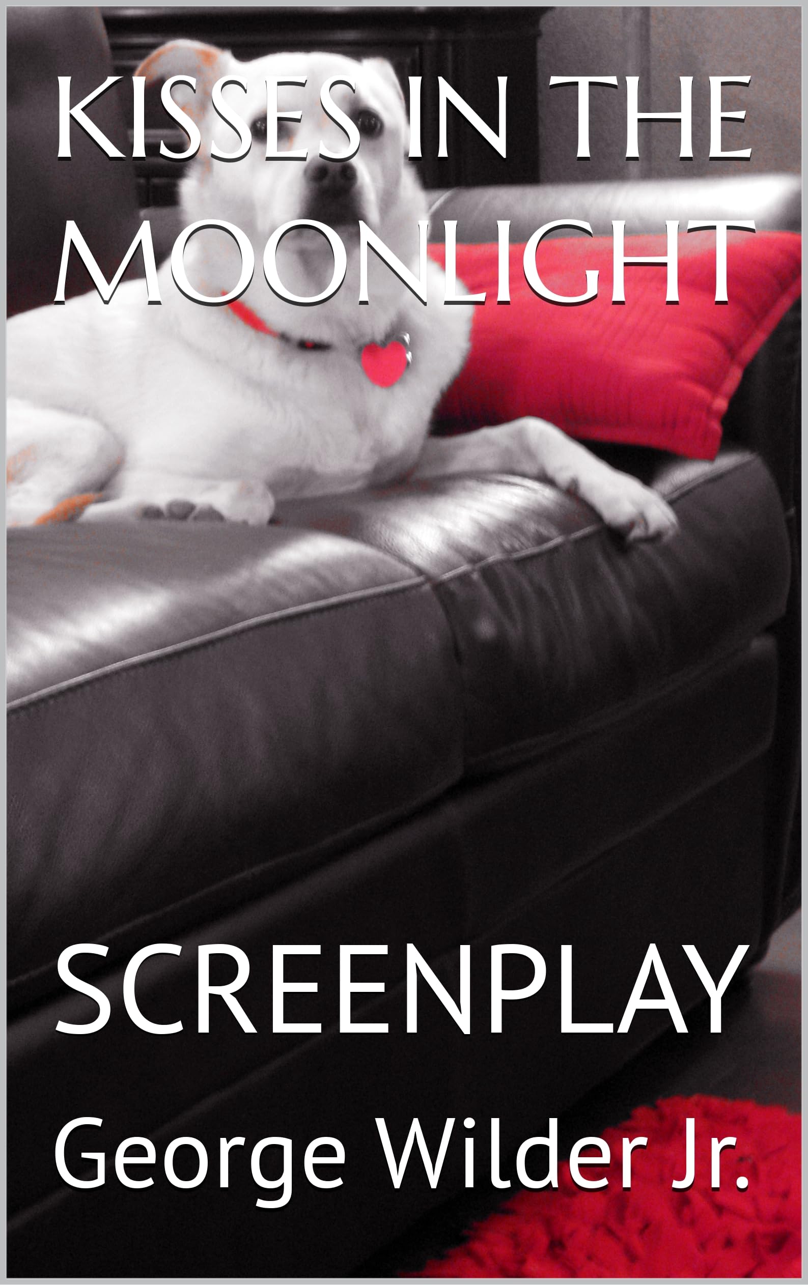 KISSES IN THE MOONLIGHT : SCREENPLAY