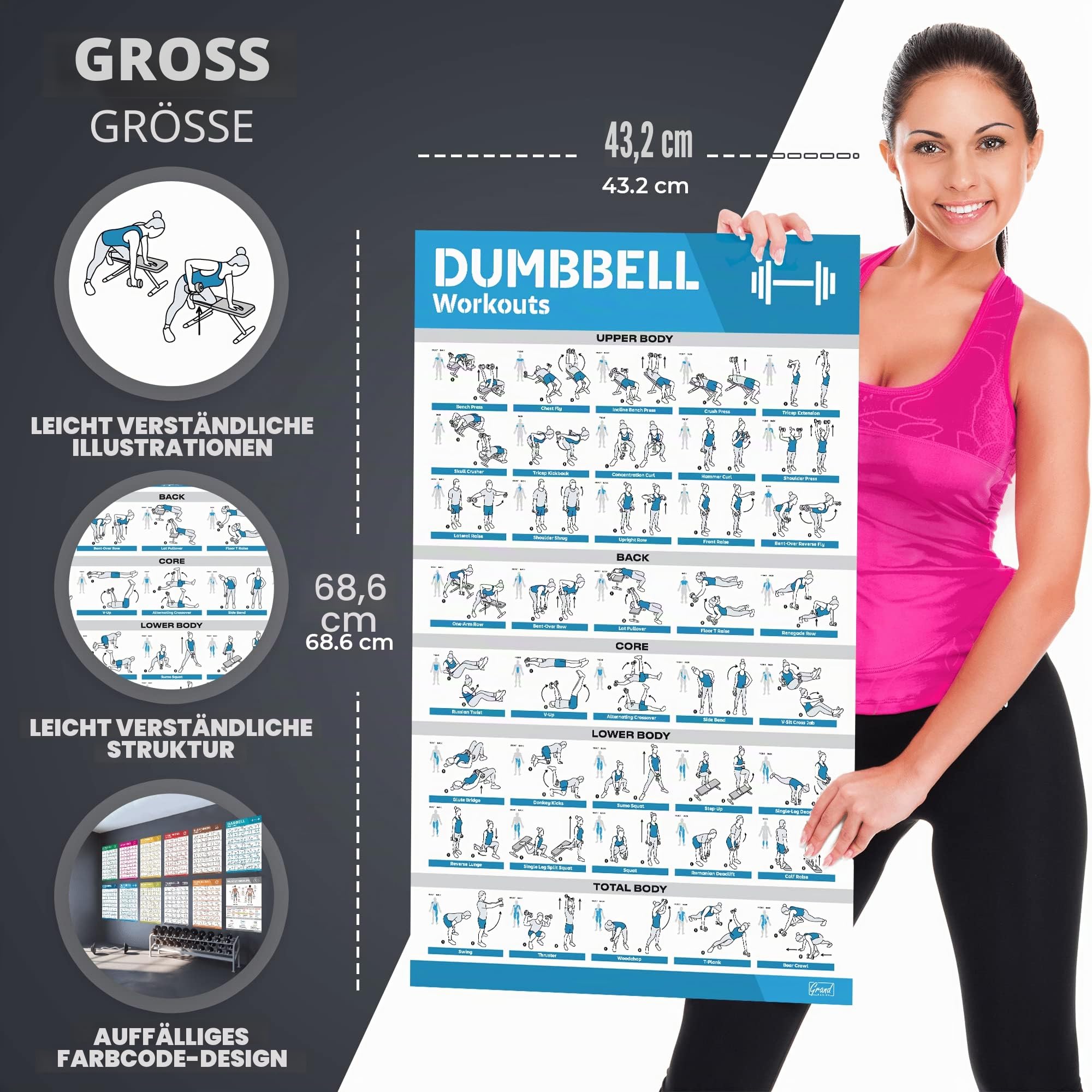 Laminiertes großes Workout-Poster-Set – perfekte Workout-Poster für das Fitnessstudio zu Hause – inkl.Übungstabellen, 12er-Set Hantel-, Yoga-Posen, Widerstandsband-, Kugelhantel-, Stretching- usw.