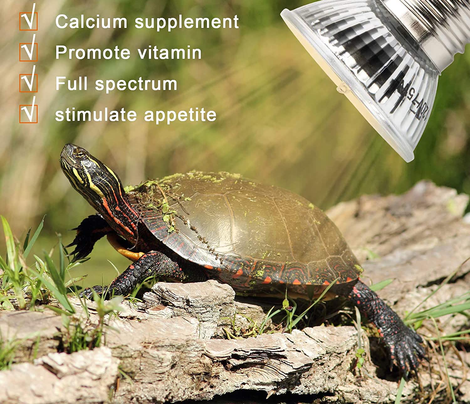 Western Era UVB Bulb Spectrum Sun Lamp Sunbathe Heat Lamp/Bulb/Light for Lizard Bearded Dragon Chameleon Snake Turtle Aquarium Reptiles & Amphibians(50W) 4
