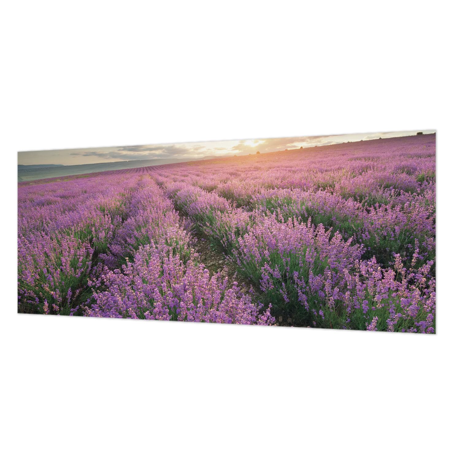 Papier peint intissé de haute qualité au motif panoramique violet 250x104 cm