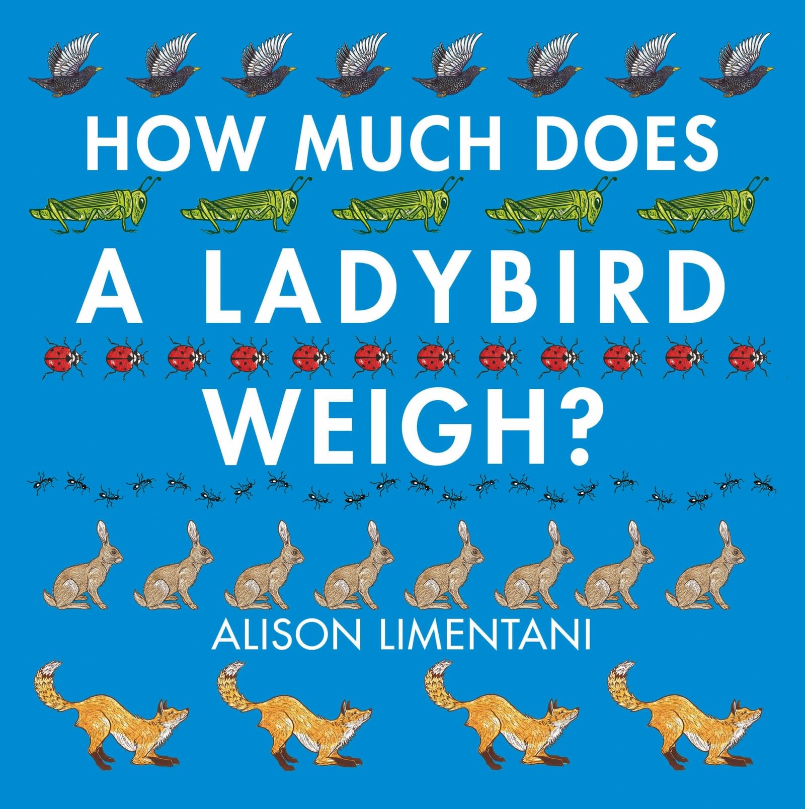 How much does a ladybird weigh?: 1 (Wild Facts & Amazing Math)