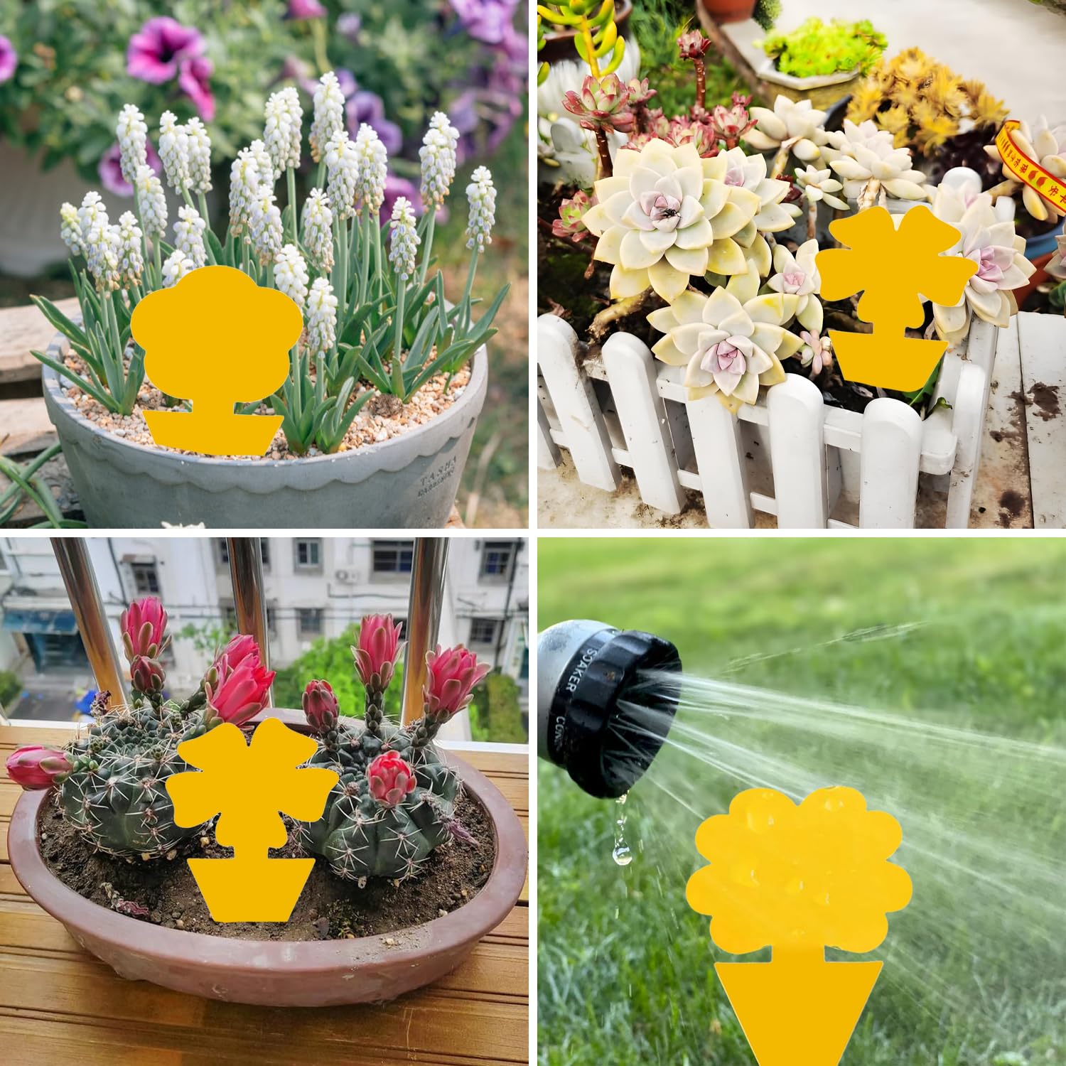 Trappola per Mosche Moscerini (36 Pezzi), Trappola per Mosche Adesivi Gialli, Per Insetti Volanti Contro i parassiti, afidi,moscerini della frutta, Giallo, Categoria di fiori