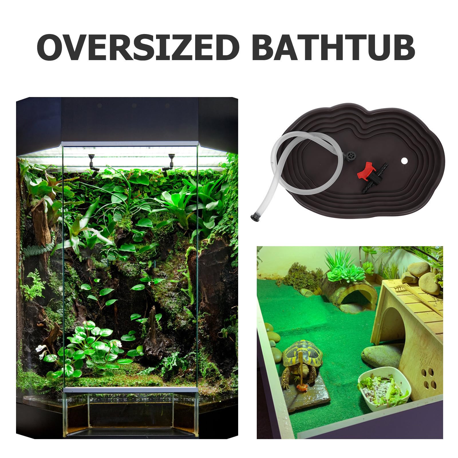 Piscina para Tortugas y Reptiles Plato de Comida y Plataforma para Escalar, Adecuada para Hábitats y Decoración de Acuarios