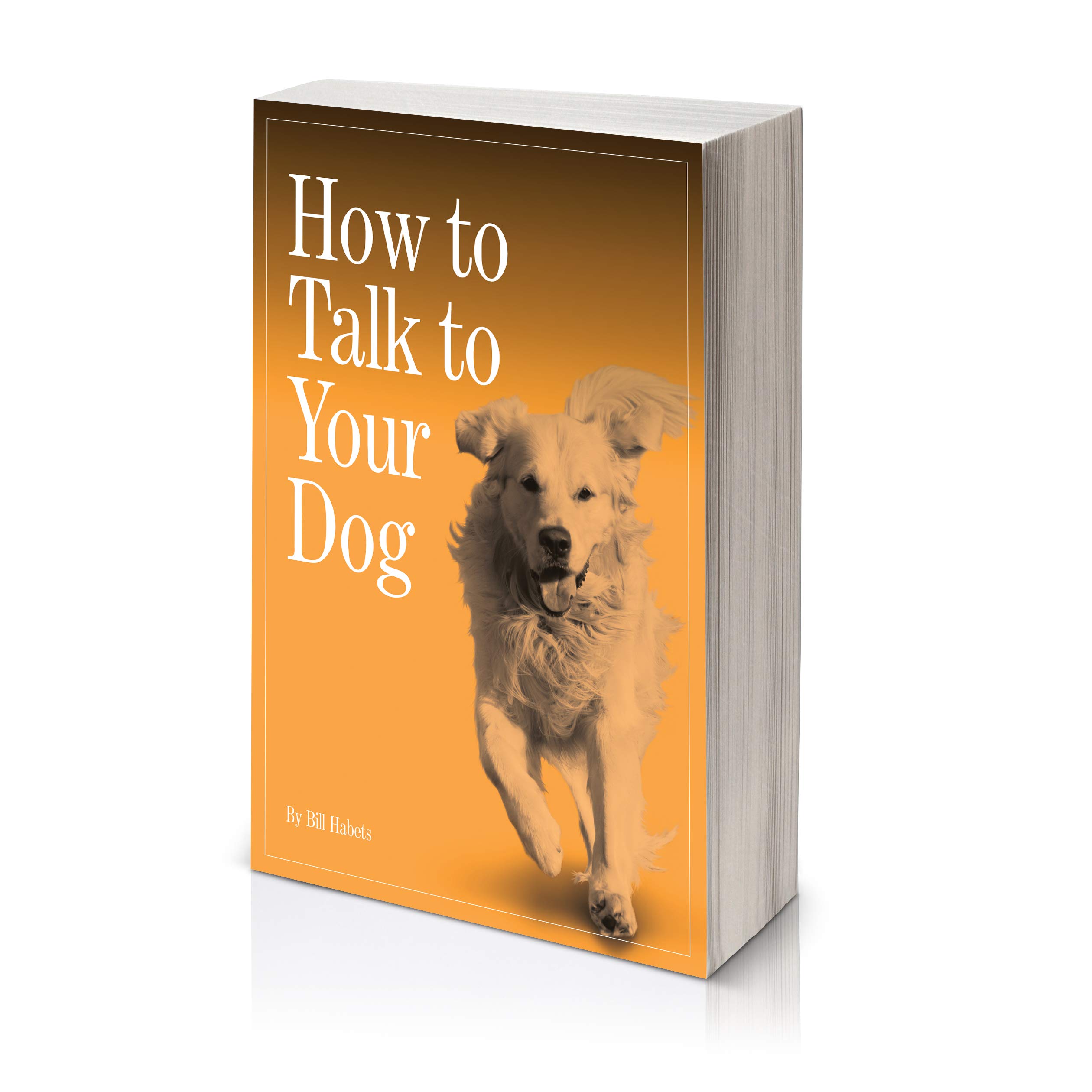 Should You Talk To Your Dog