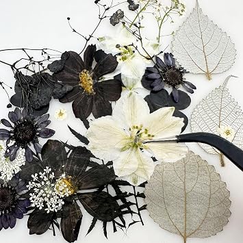 Cayway 2 Pack Dried Pressed Flowers for Resin Molds, Black Real Pressed Flowers Dry Leaves Kit Natural Dried Pressed Leaves for Art Crafts Resin Scrapbook Supplies Soap Candle DIY, Style C