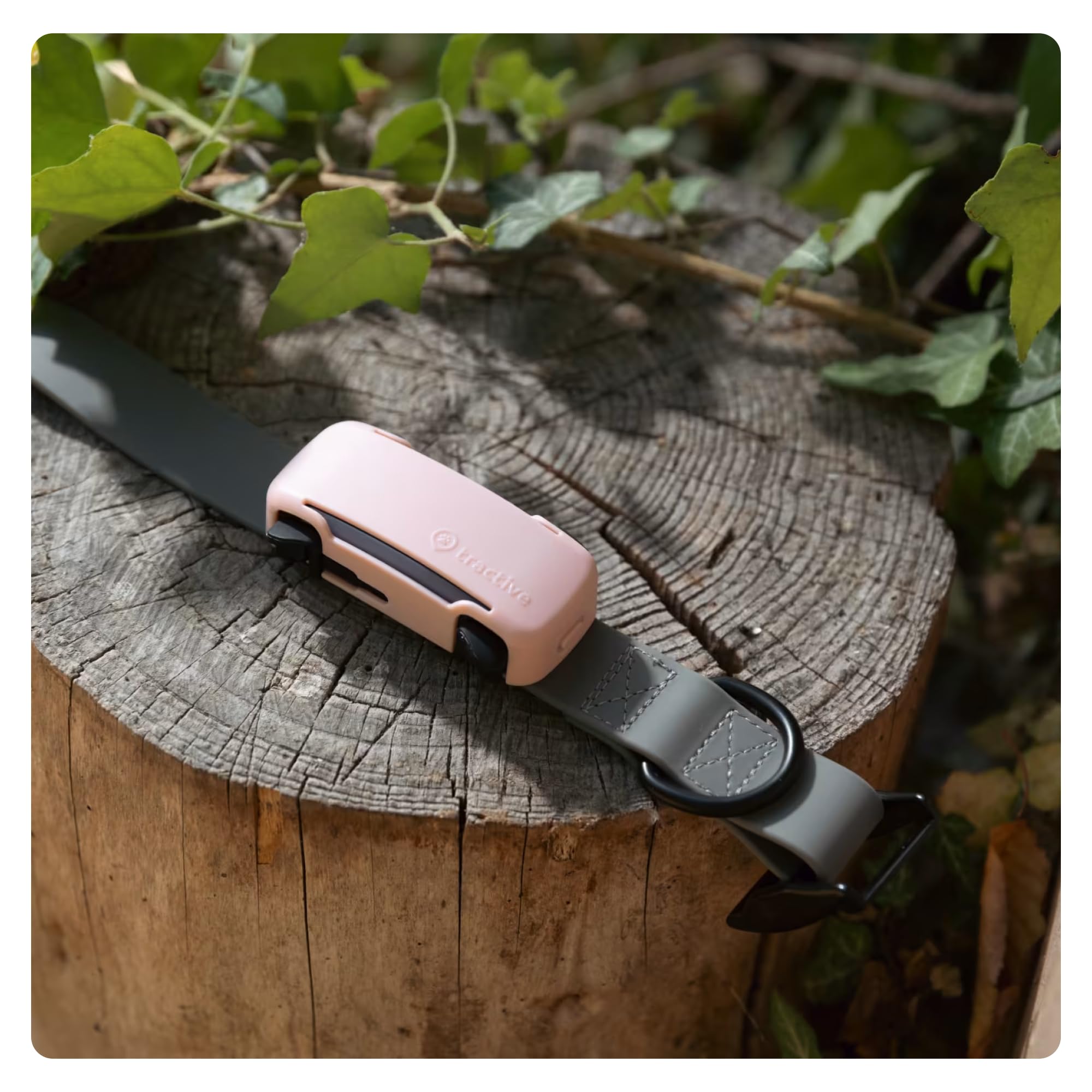 Tractive GPS DOG 6 Tracker Cover - Pink - Image 2