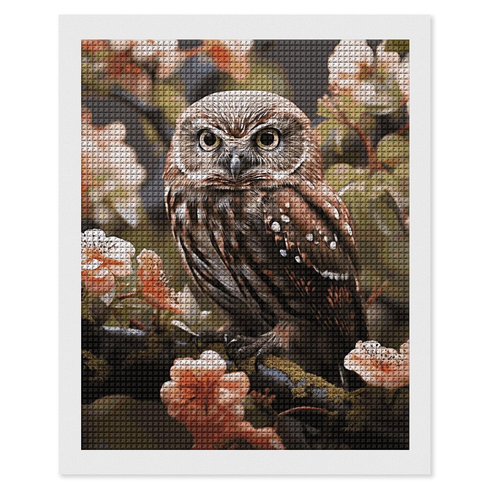 Peinture diamant 5D hibou maccbn à offrir en cadeau créatif idéal pour adulte passionné d'art - 8