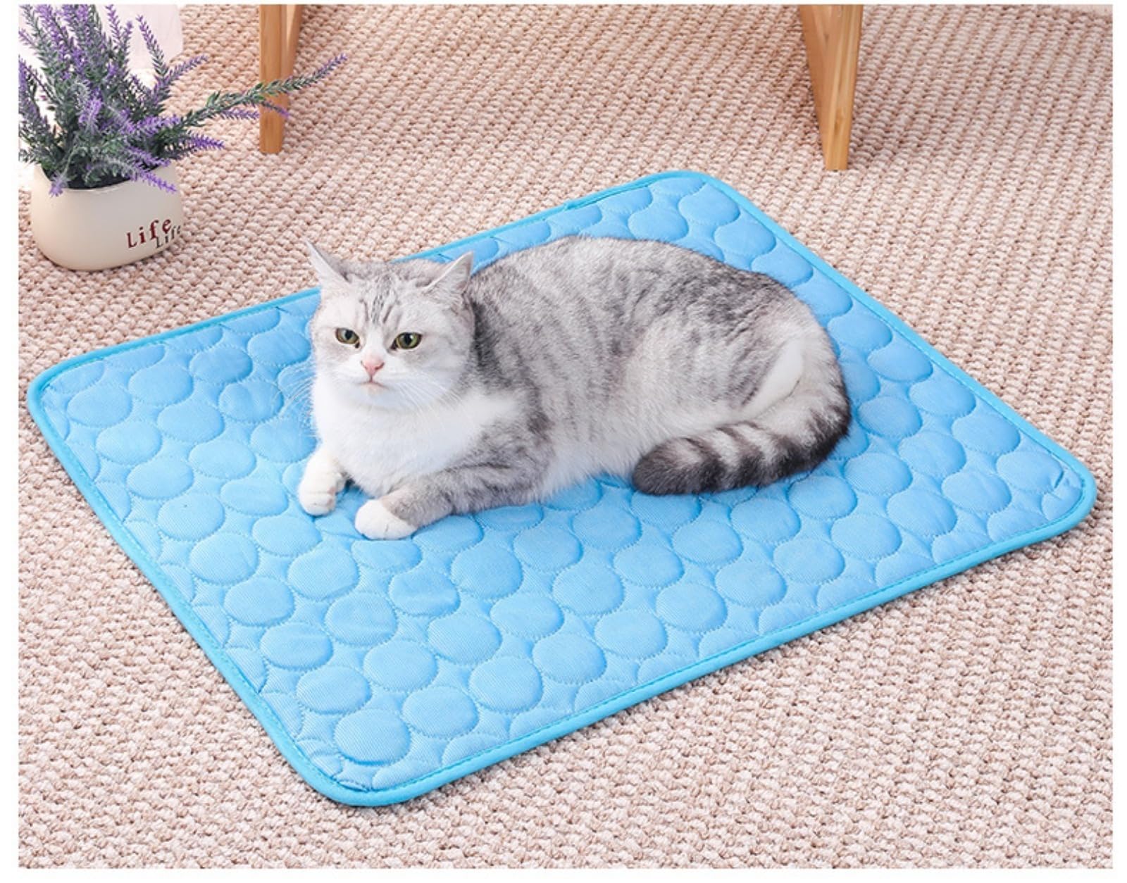 Générique Kühlmatte für Hunde, Pet Cooling Mat, wasserdicht und leicht zu reinigen, geeignet für kleine und große Haustiere, Frischematte für Katzen