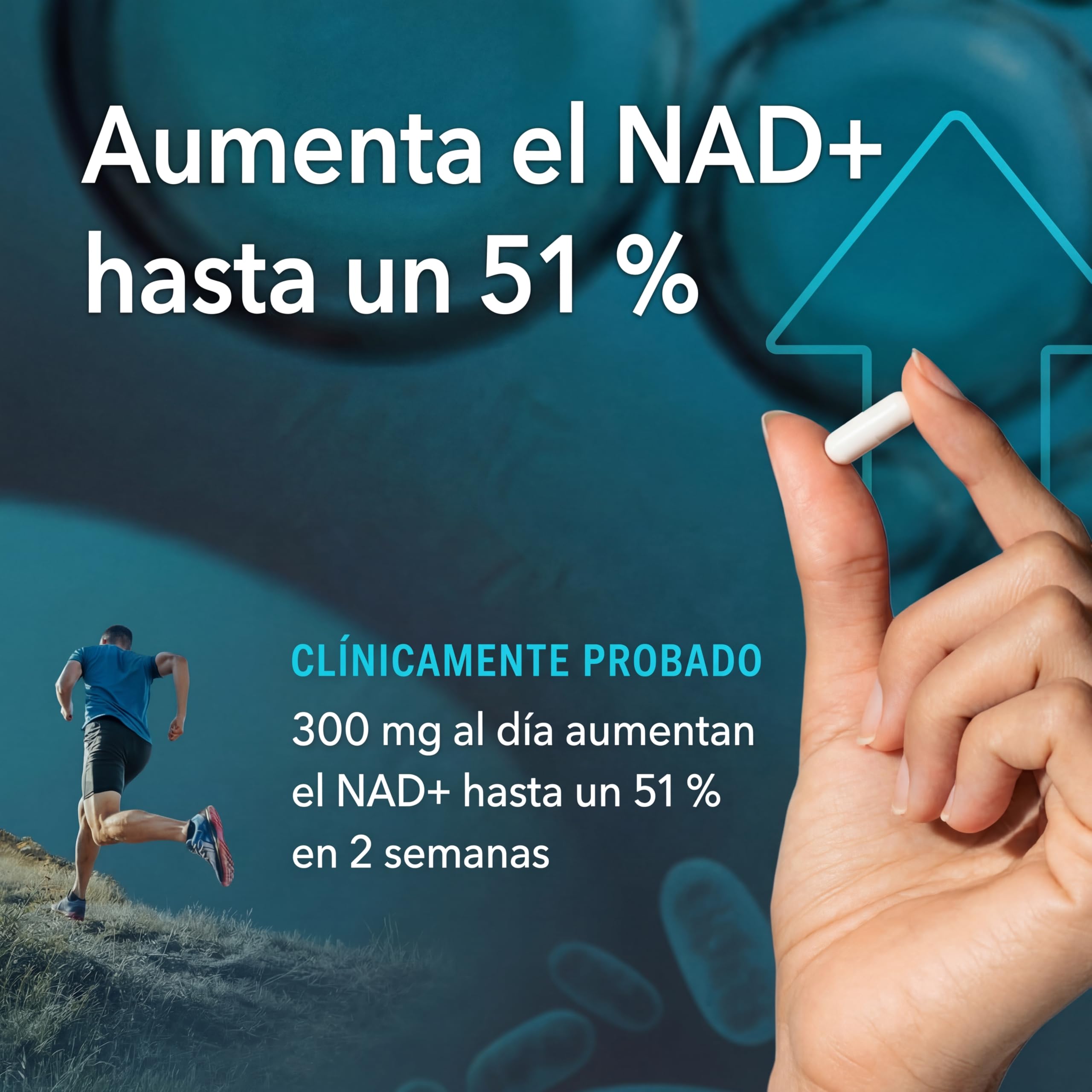 Green Lab Trans-Resveratrol & NAD+ Complex 1200 mg - Suplemento Alternativo NMN Liposomal Extra Fuerte con CoQ10, Ácido Alfa Lipoico, Astaxantina y Urolithina A | Energía Protección Celular y Antiedad