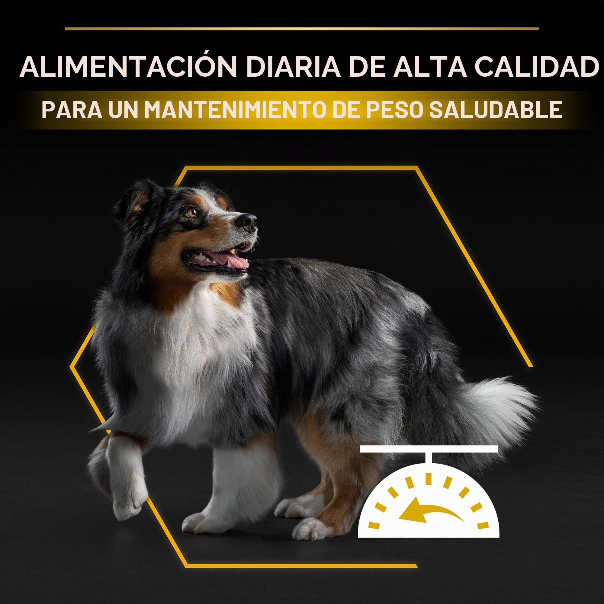 Pro Plan All Size Light/Sterilized pienso Esterilizado light cordero 14 kg