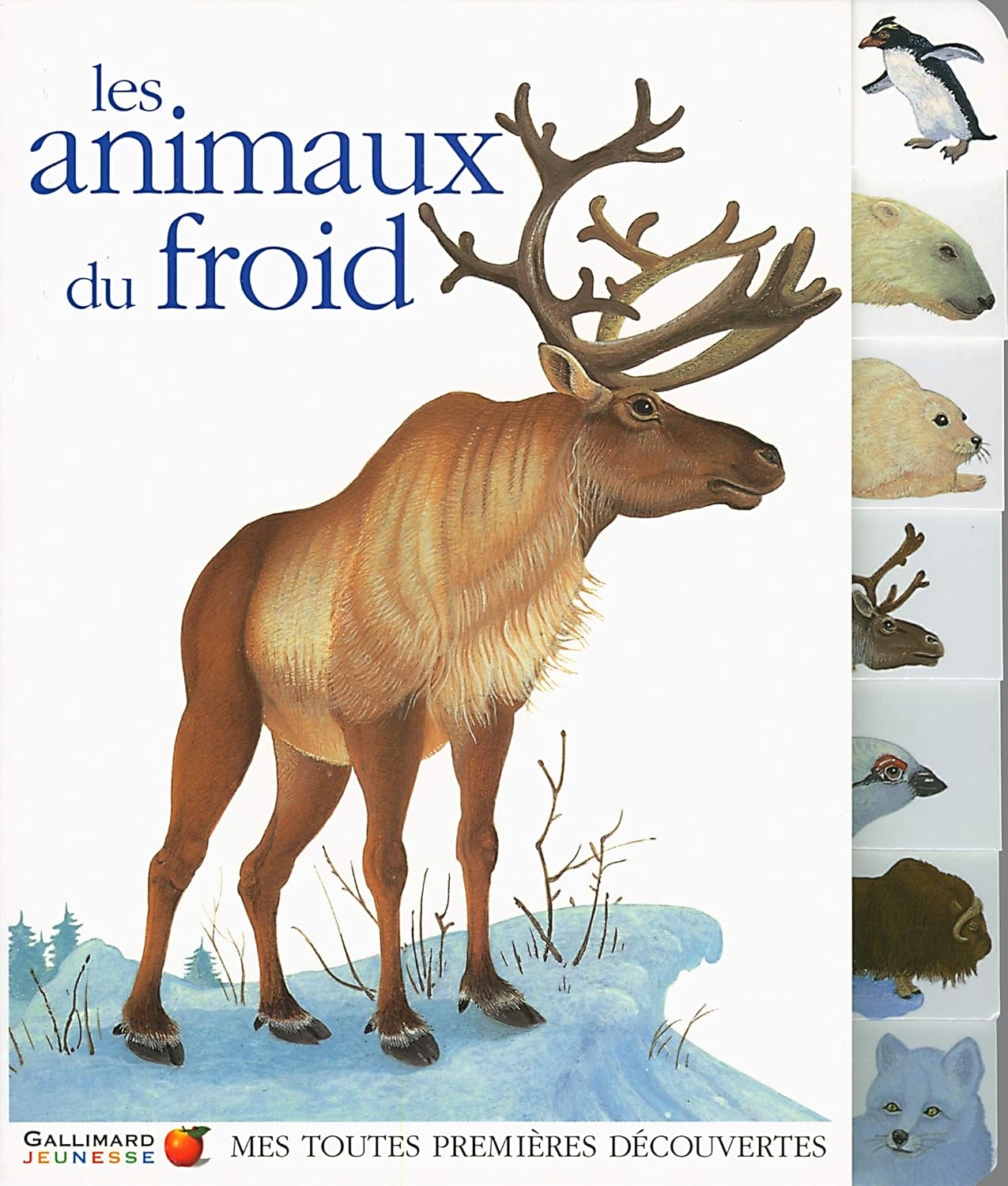 Amazon.fr - LES ANIMAUX DU FROID - COLLECTIFS JEUNESSE, Moignot, Daniel ...