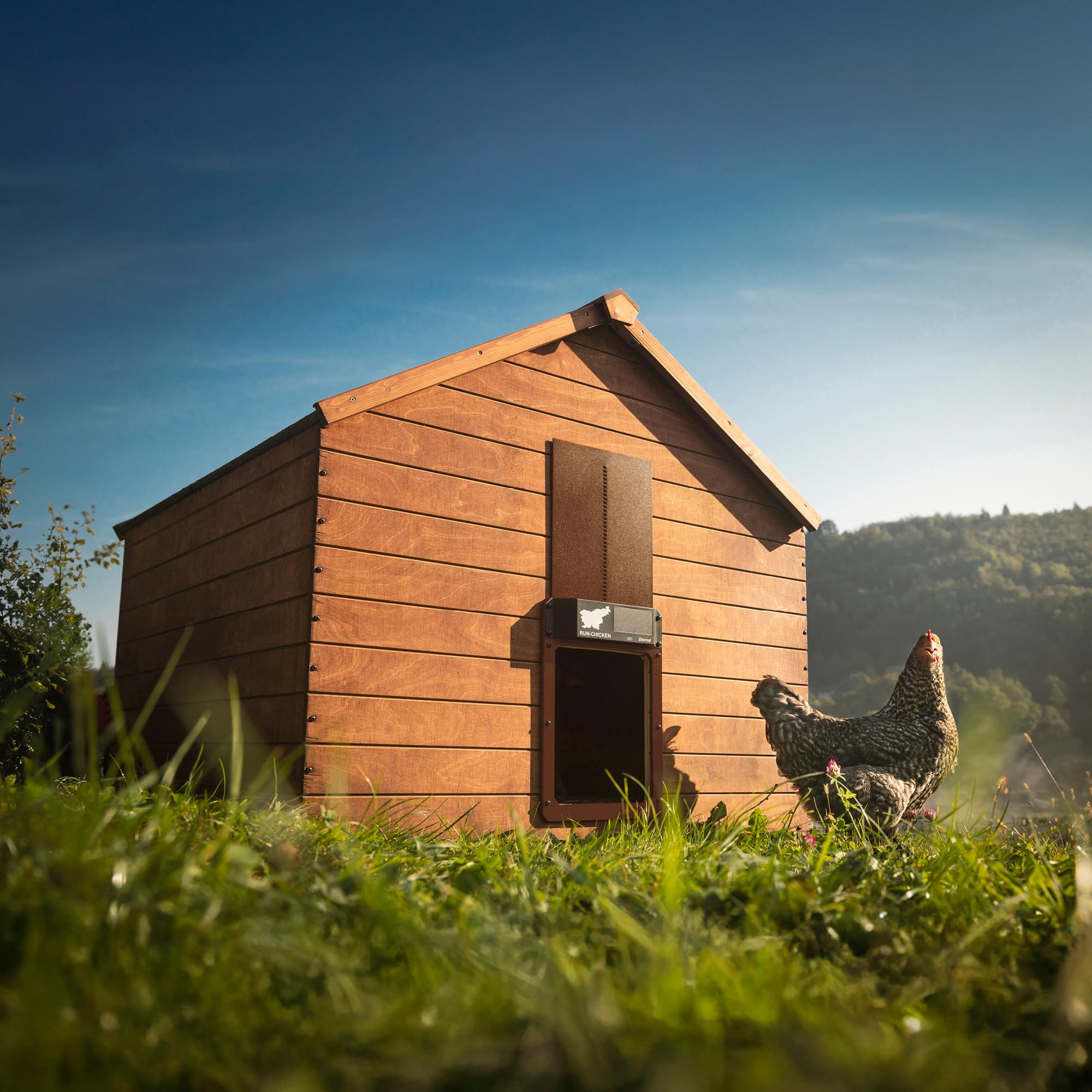 RUN-CHICKEN Porta (marrone) Solar Chicken Coop Door, automatico pollaio elettrico con timer, sensore luce, batteria, energia solare