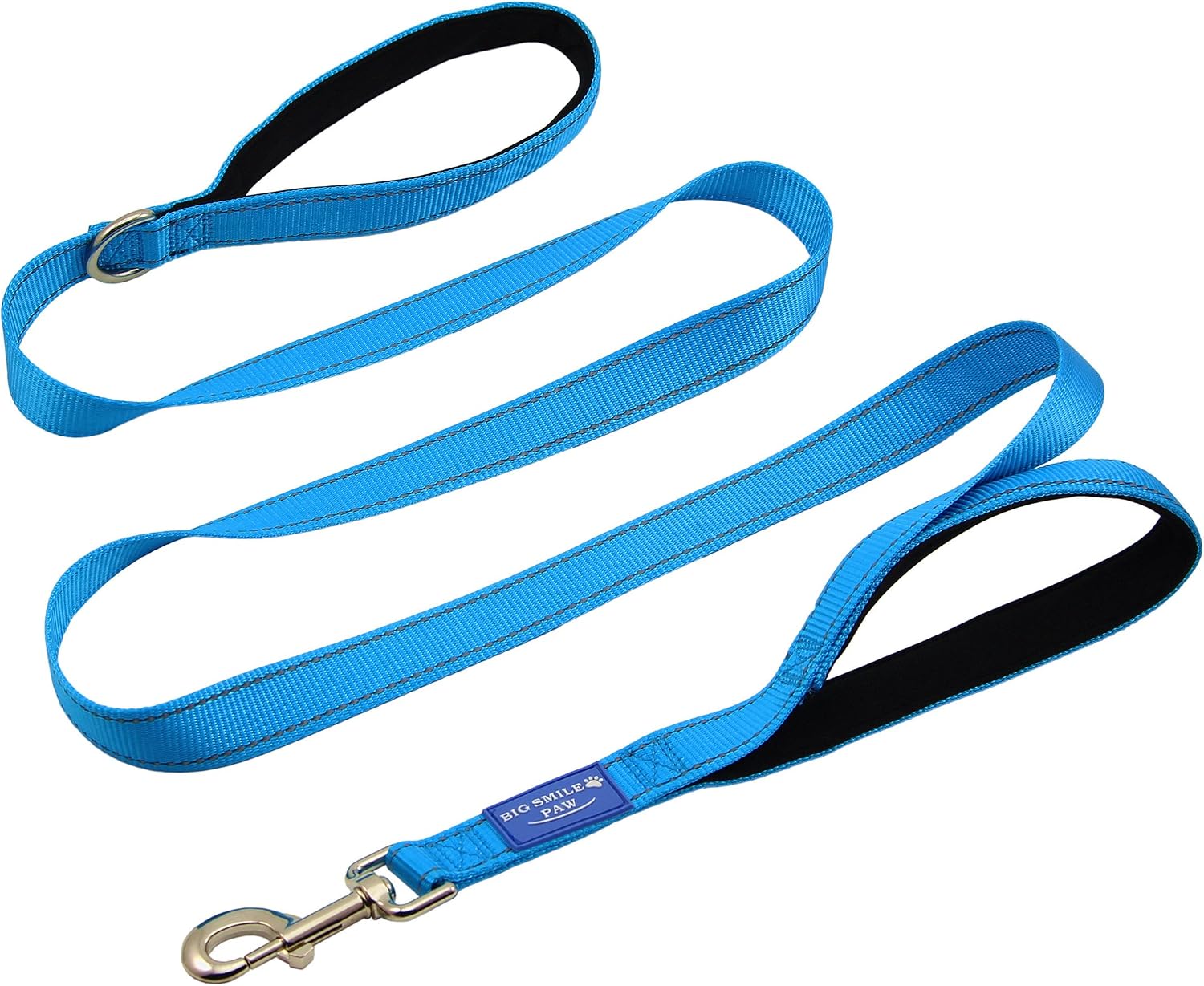 BIG SMILE PAW 6' Dog Leash Reflective,Traffic Padded Handle (Blue)